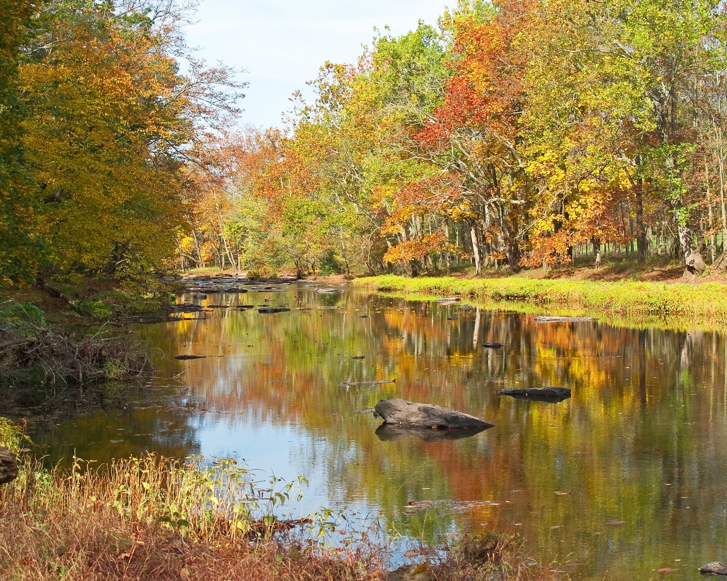 autumn view of Cabin Run Creek which flows through Bucks County in Pennsylvania