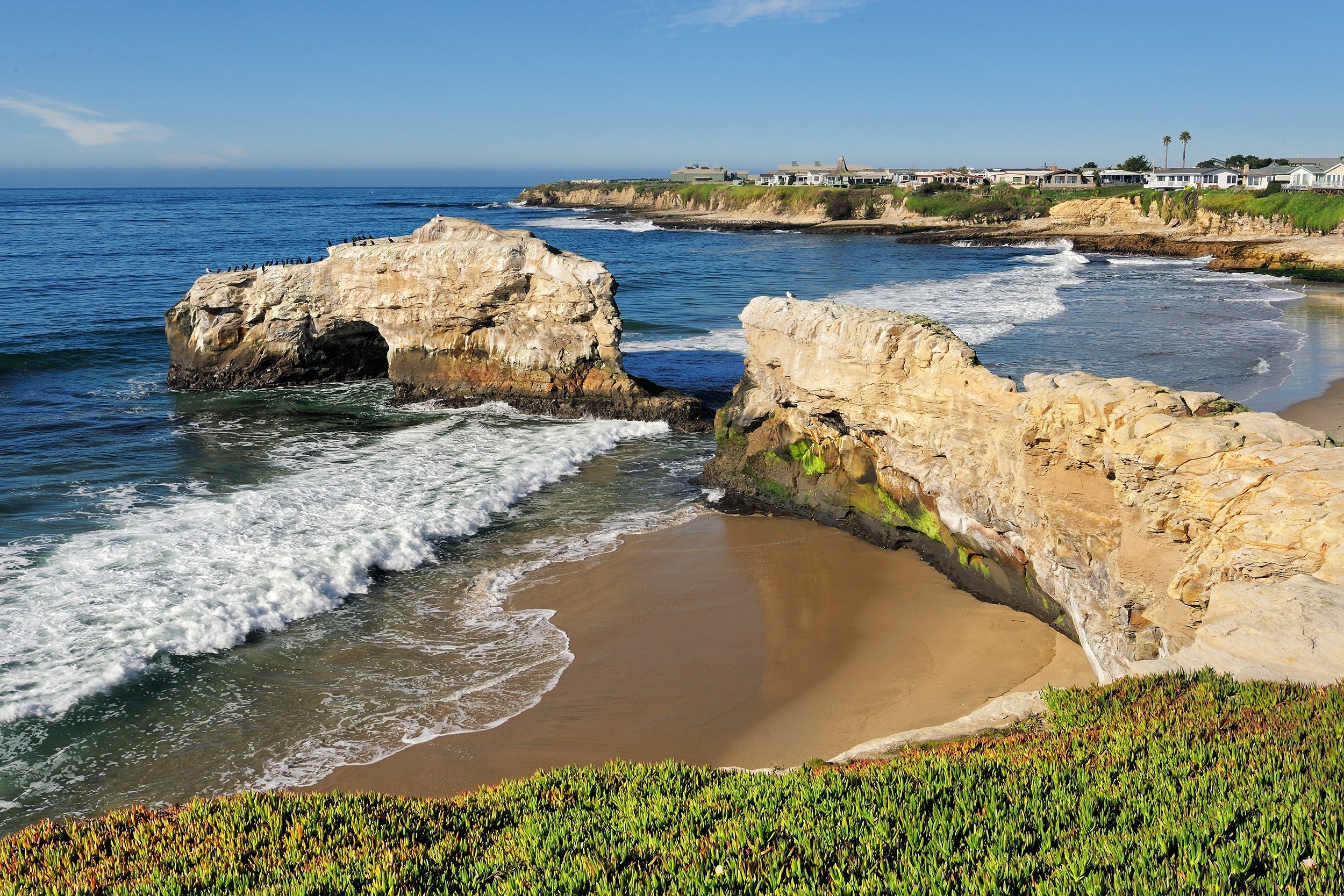 Natural Bridges State Beach in Santa Cruz, California