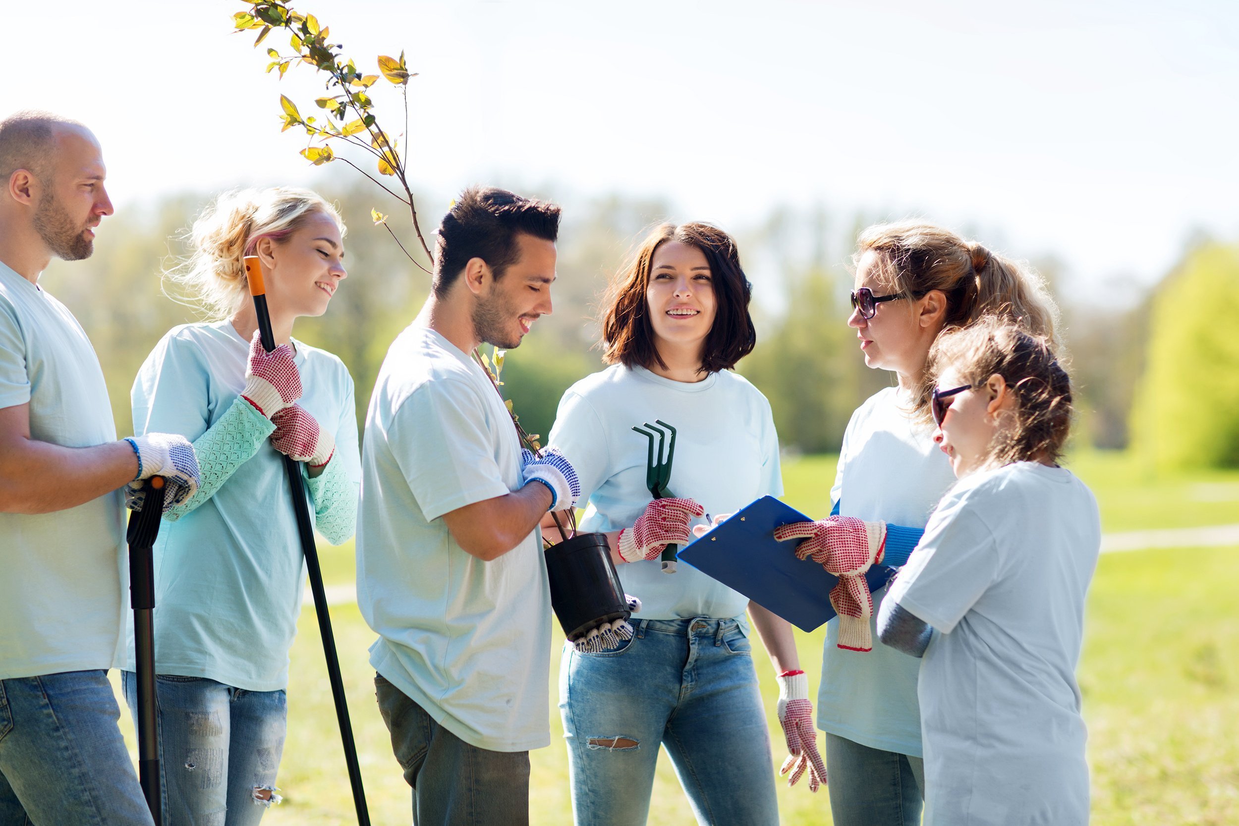 group of volunteers with clipboard planting trees in park