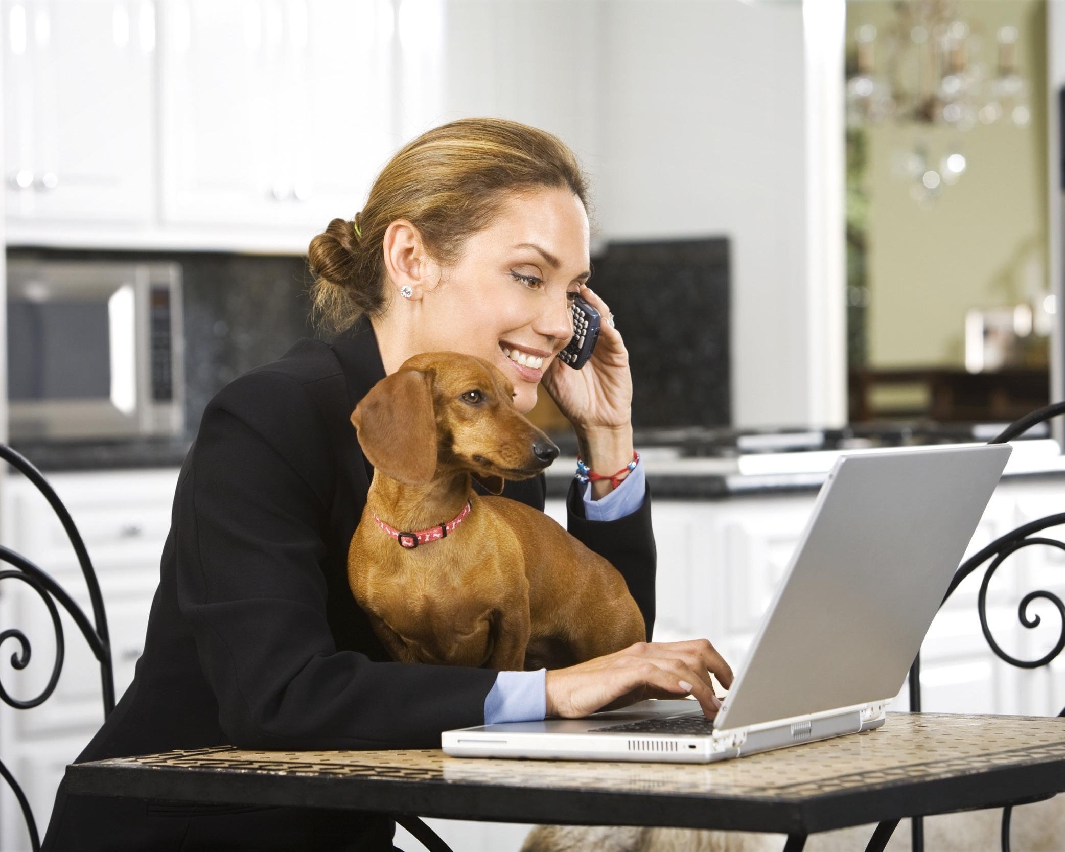 hispanic businesswoman talking on cell phone with puppy in lap