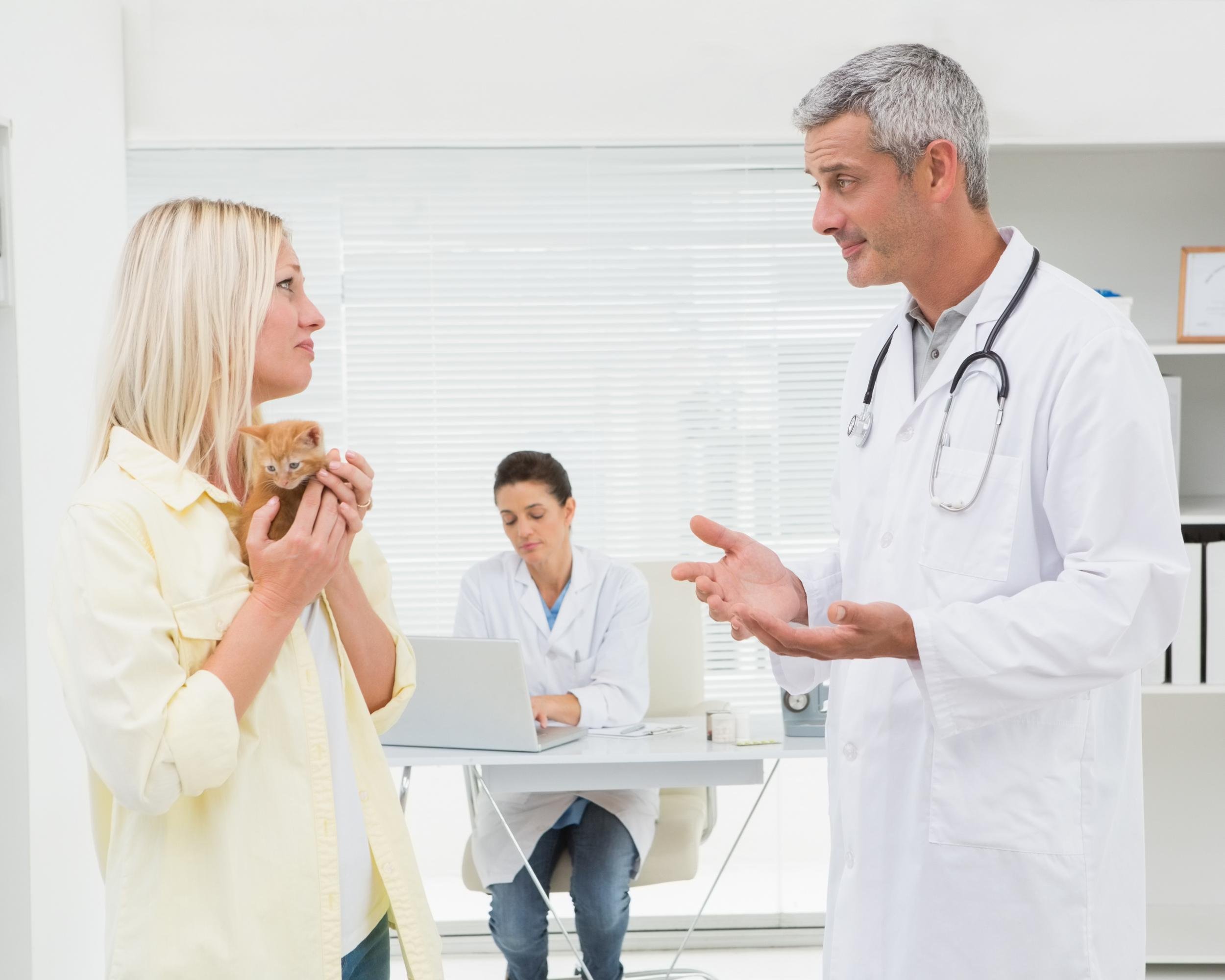 veterinarian explaining things at cat owner in medical office