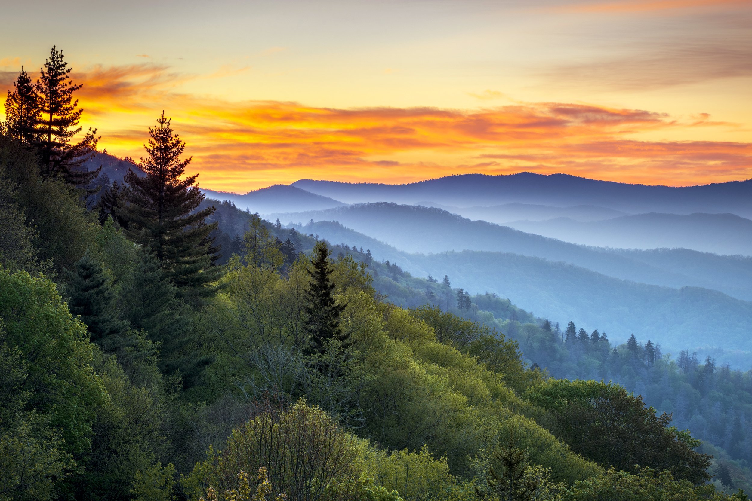 Great Smoky Mountains National Park