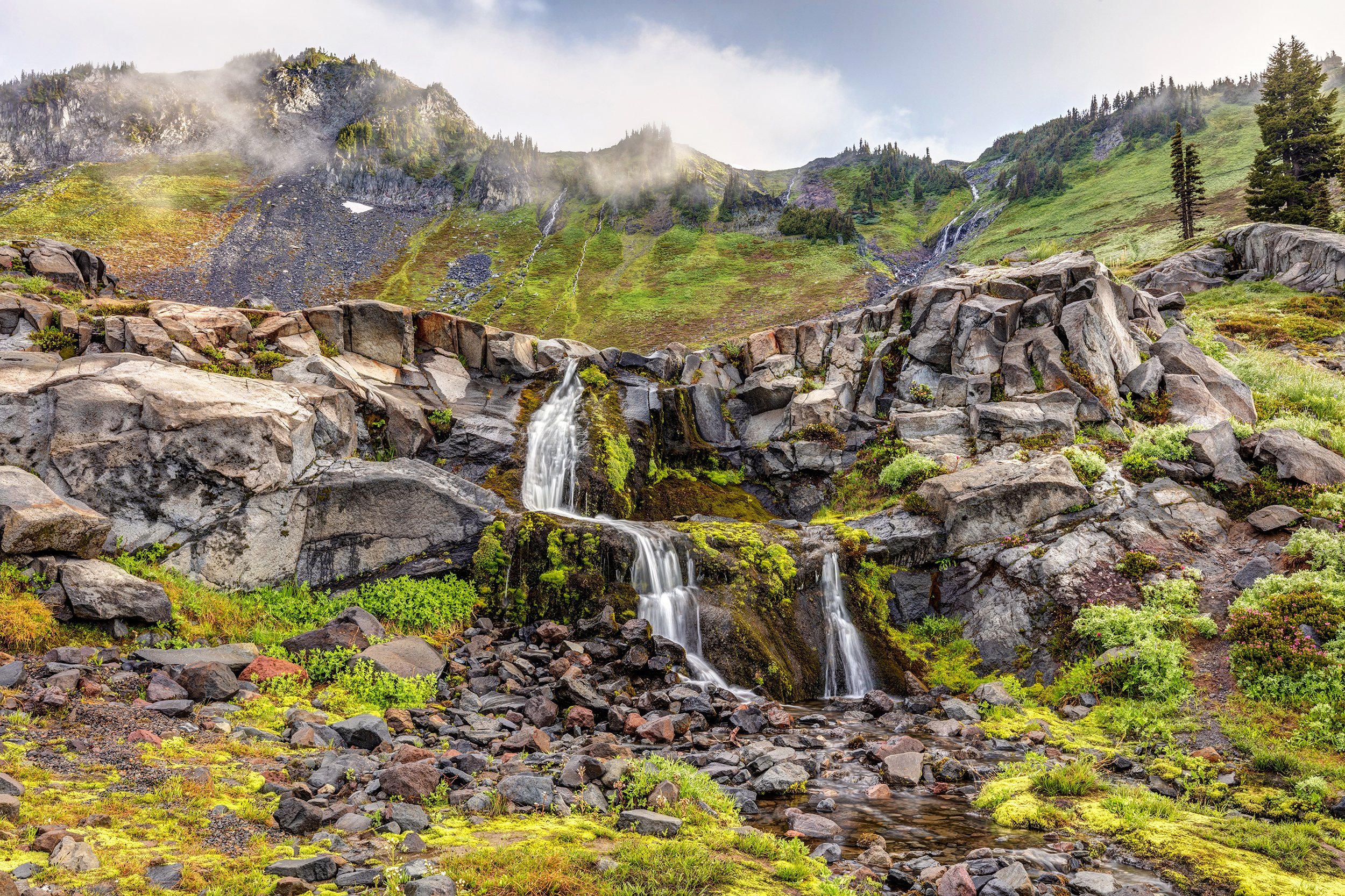 Mount Rainier National Park, Washington