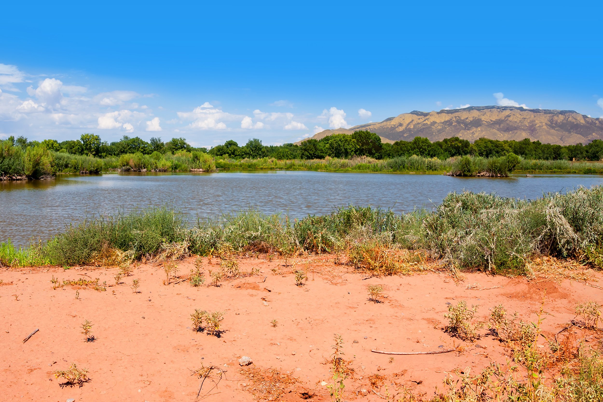 little lake at Rio Grande Nature Center State Park, New Mexico
