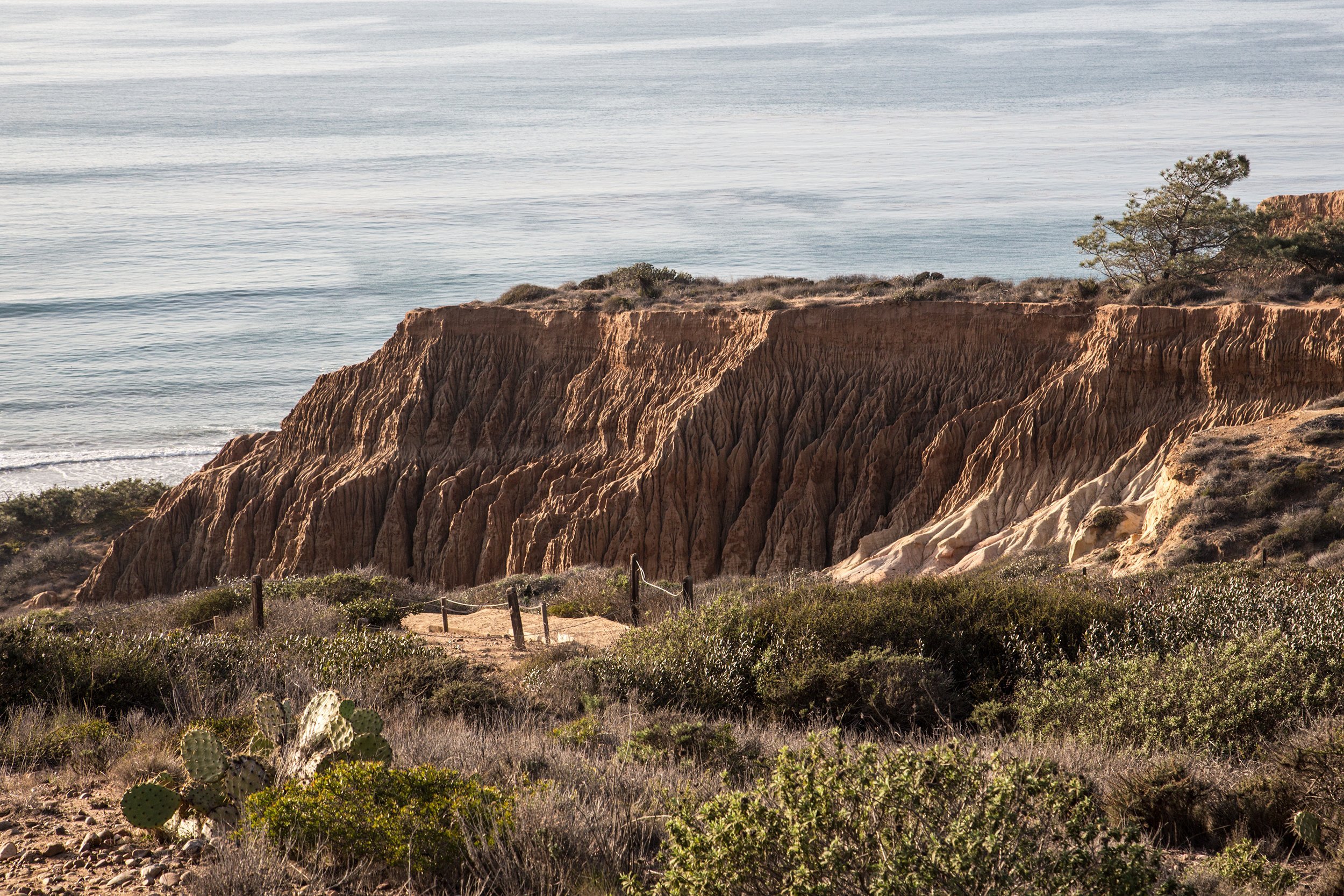 Torrey Pines State Natural Reserve, California