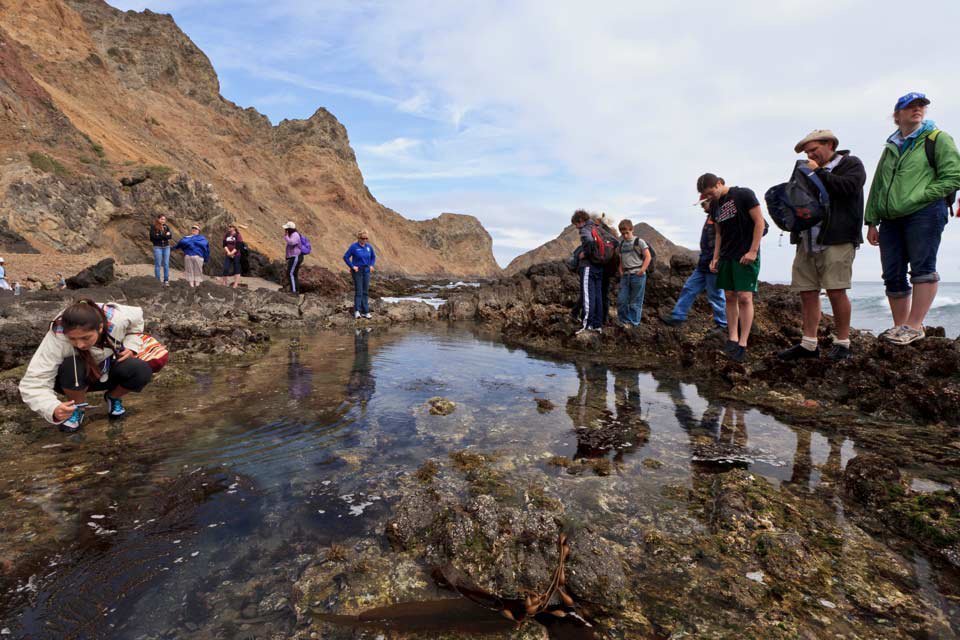 Tide Pooling, Channel Islands, California