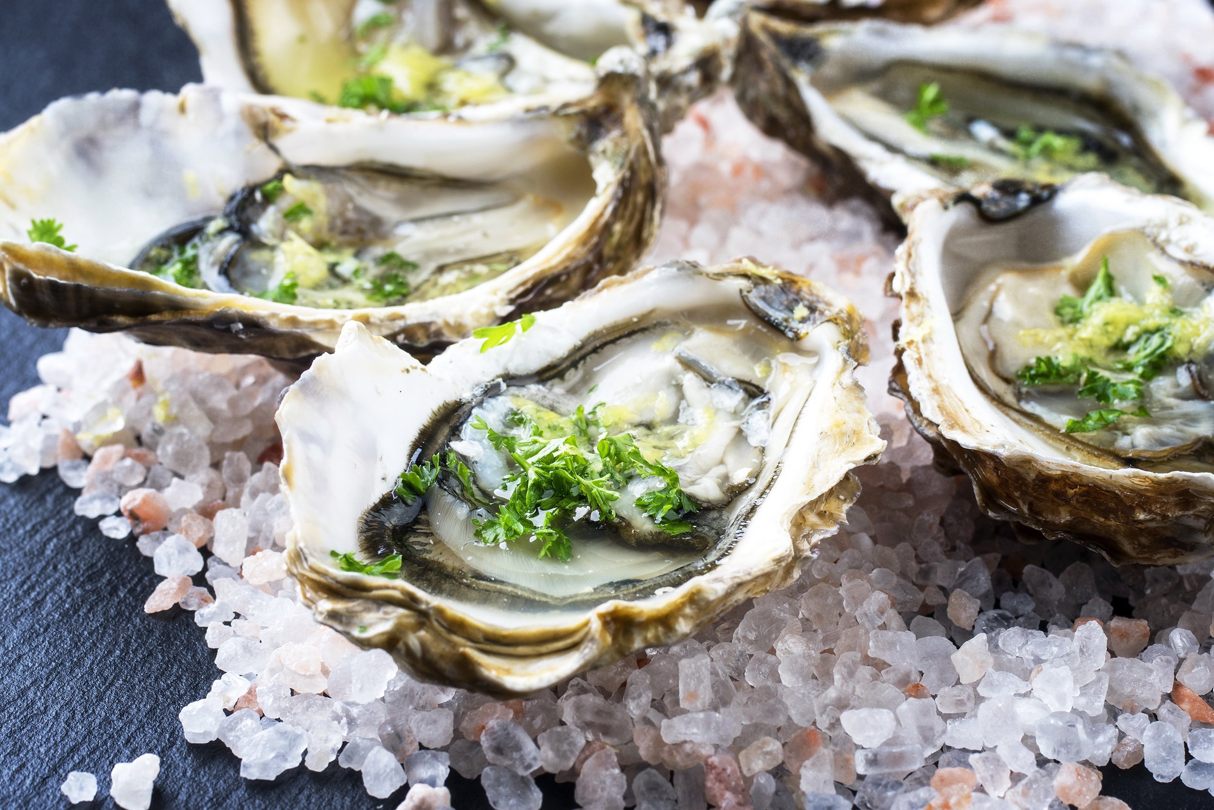 fresh oysters