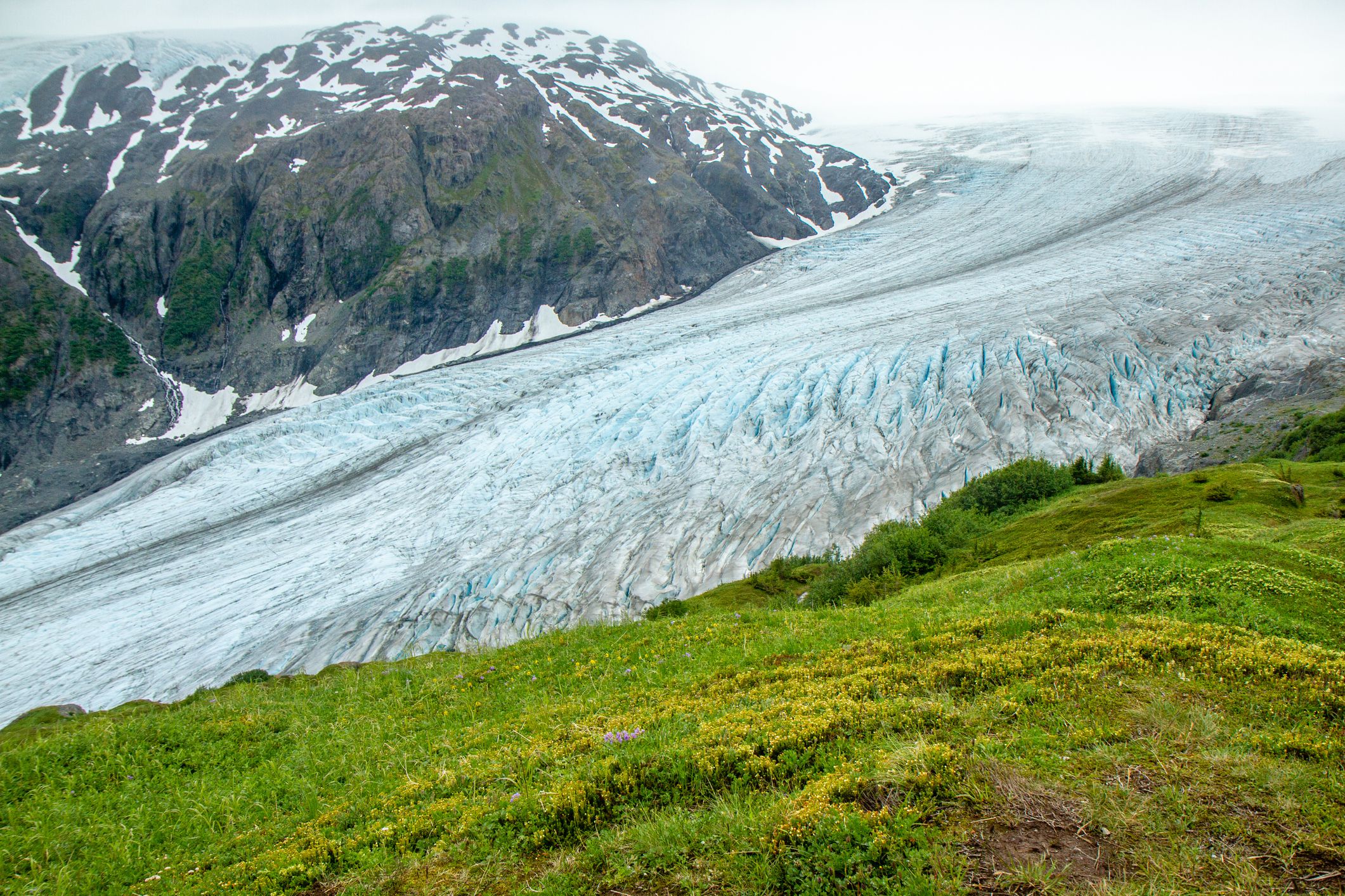 Exit Glacier, Alaska, as seen from the Harding Ice field Trail. Green meadow in foreground, vast, blue ice glacier in mid-ground, mountain in background, no people.
