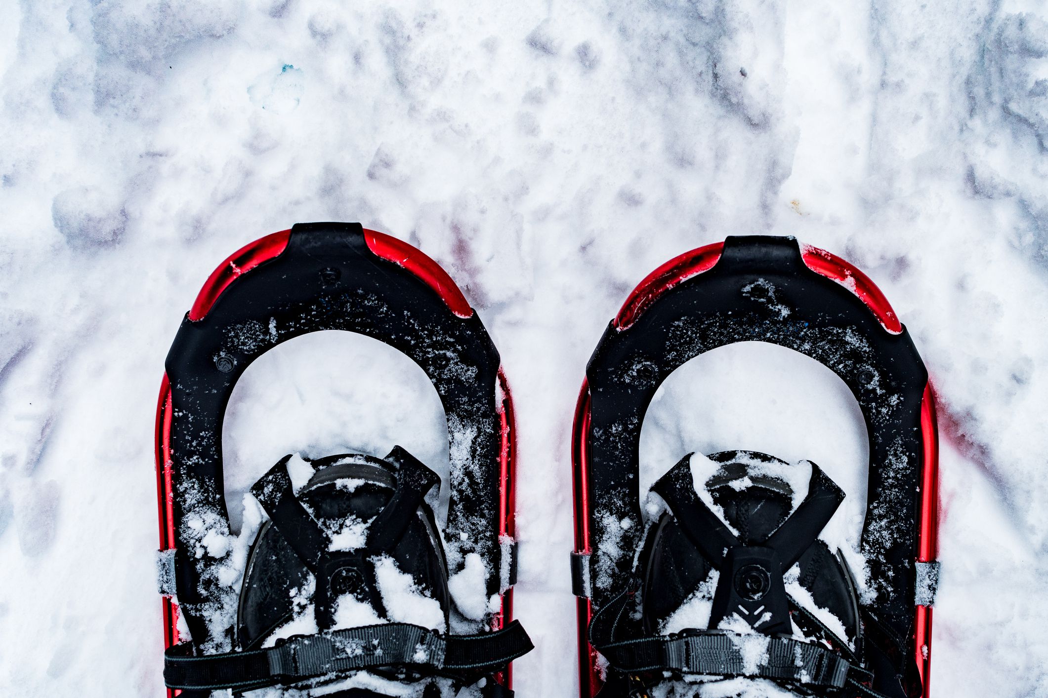 A man snowshoeing in Glacier National Park, Montana. Fresh white powder snow.