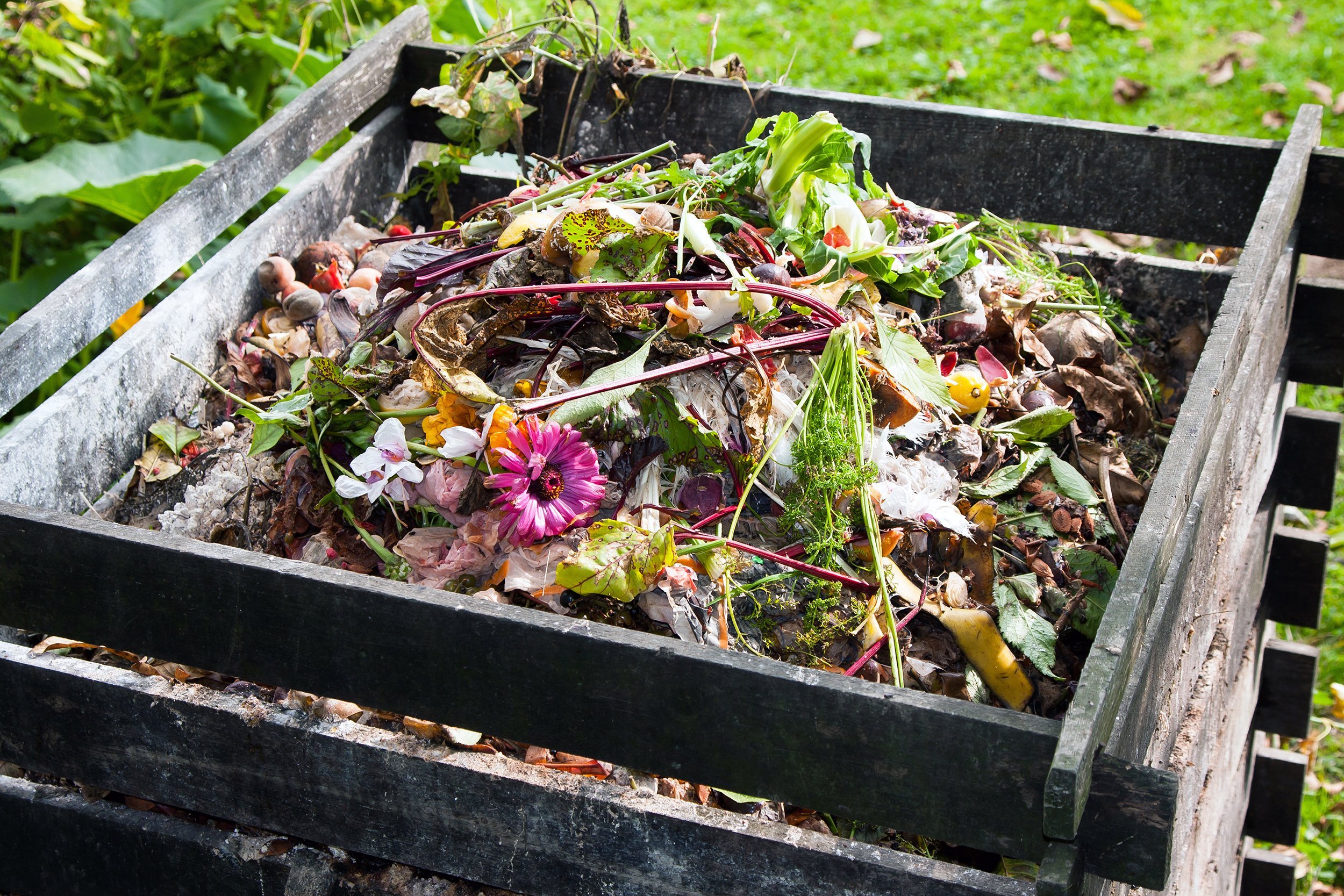 compost bin in the garden