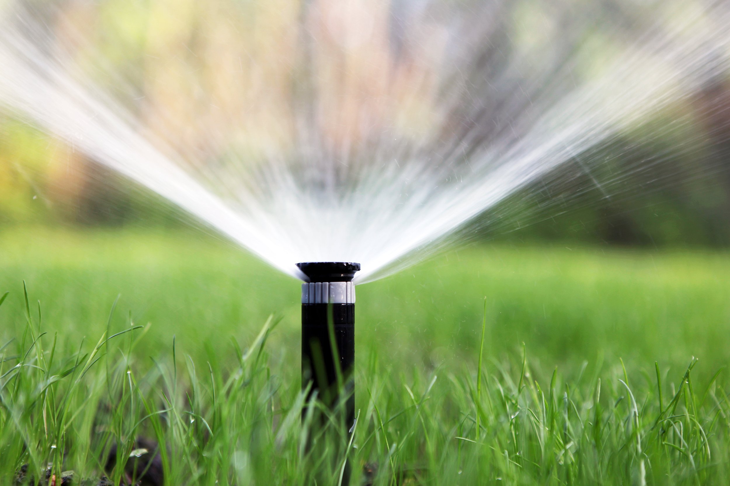sprinkler of automatic watering