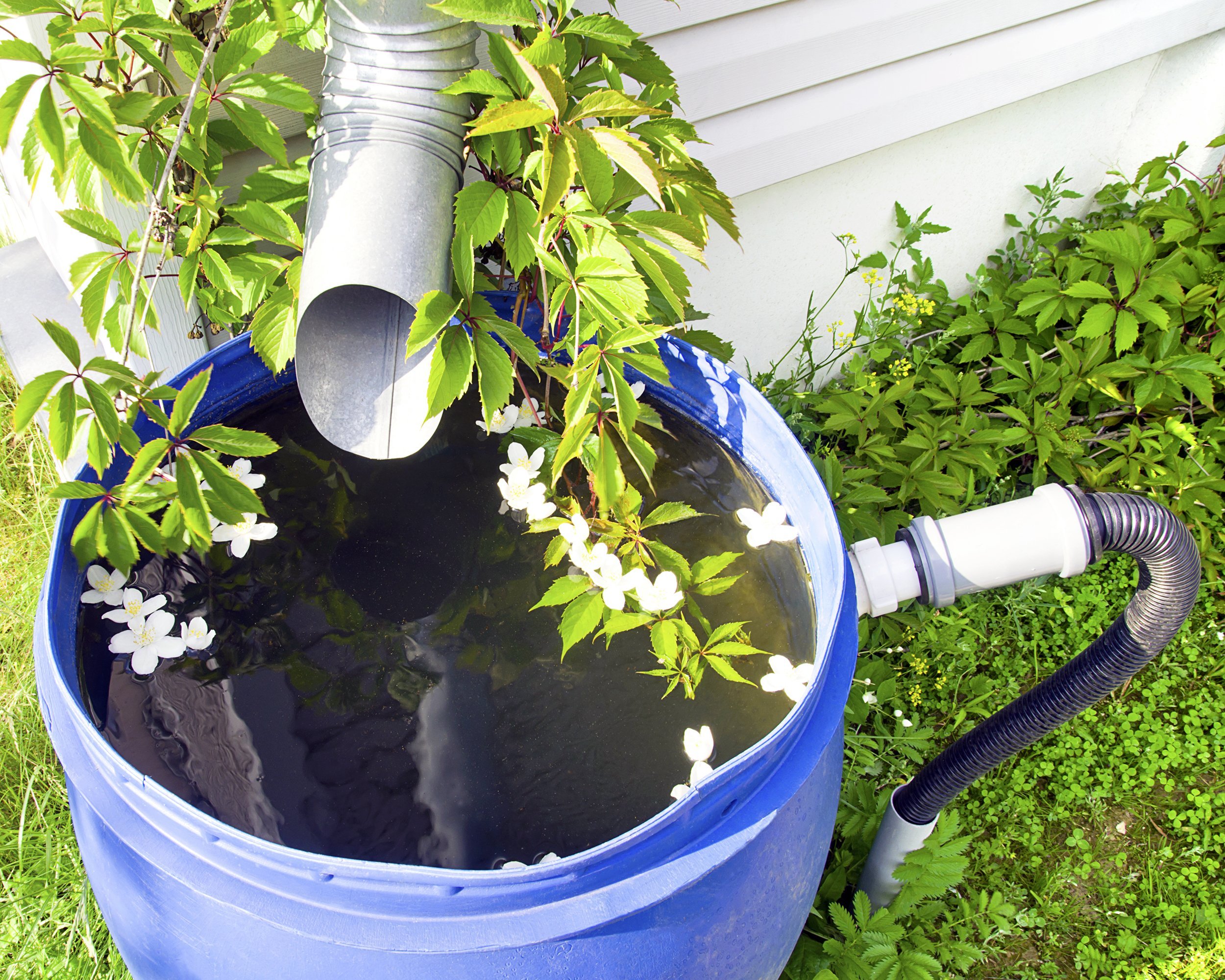 drain for rain water in a plastic barrel in a house