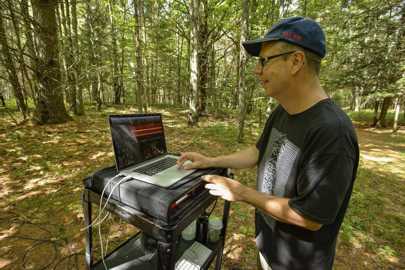 iForest in Wild Center, Tupper Lake, New York