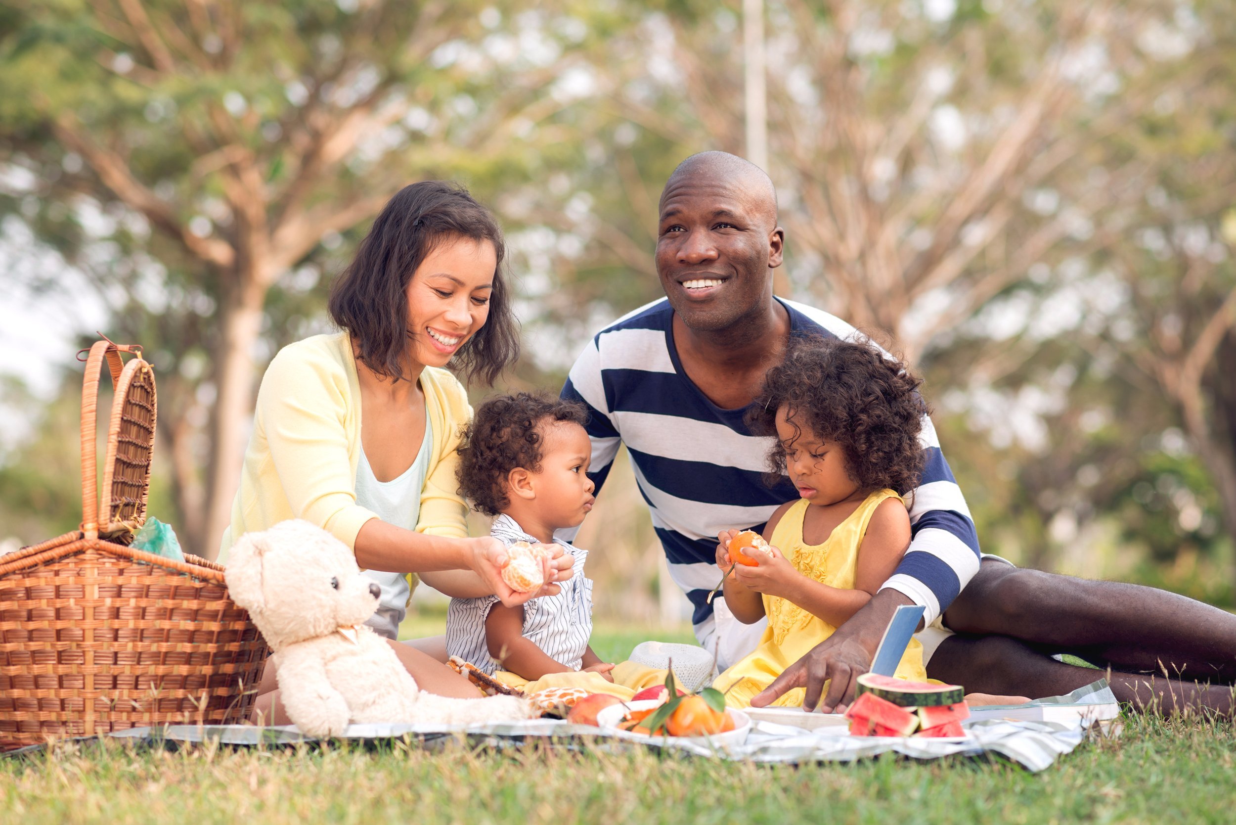Image of a big family picnicking together in the park