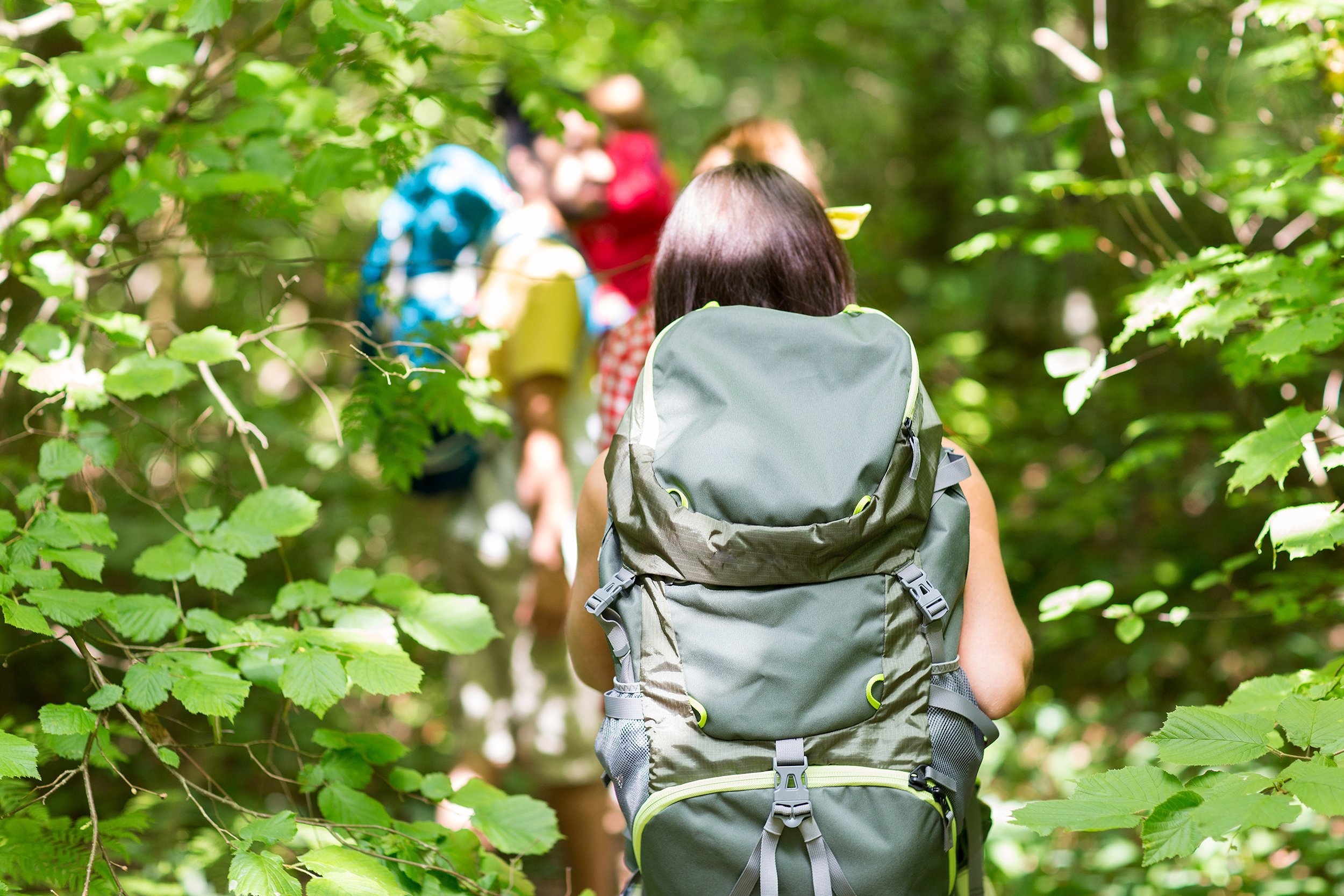 friends walking with backpacks in woods from back