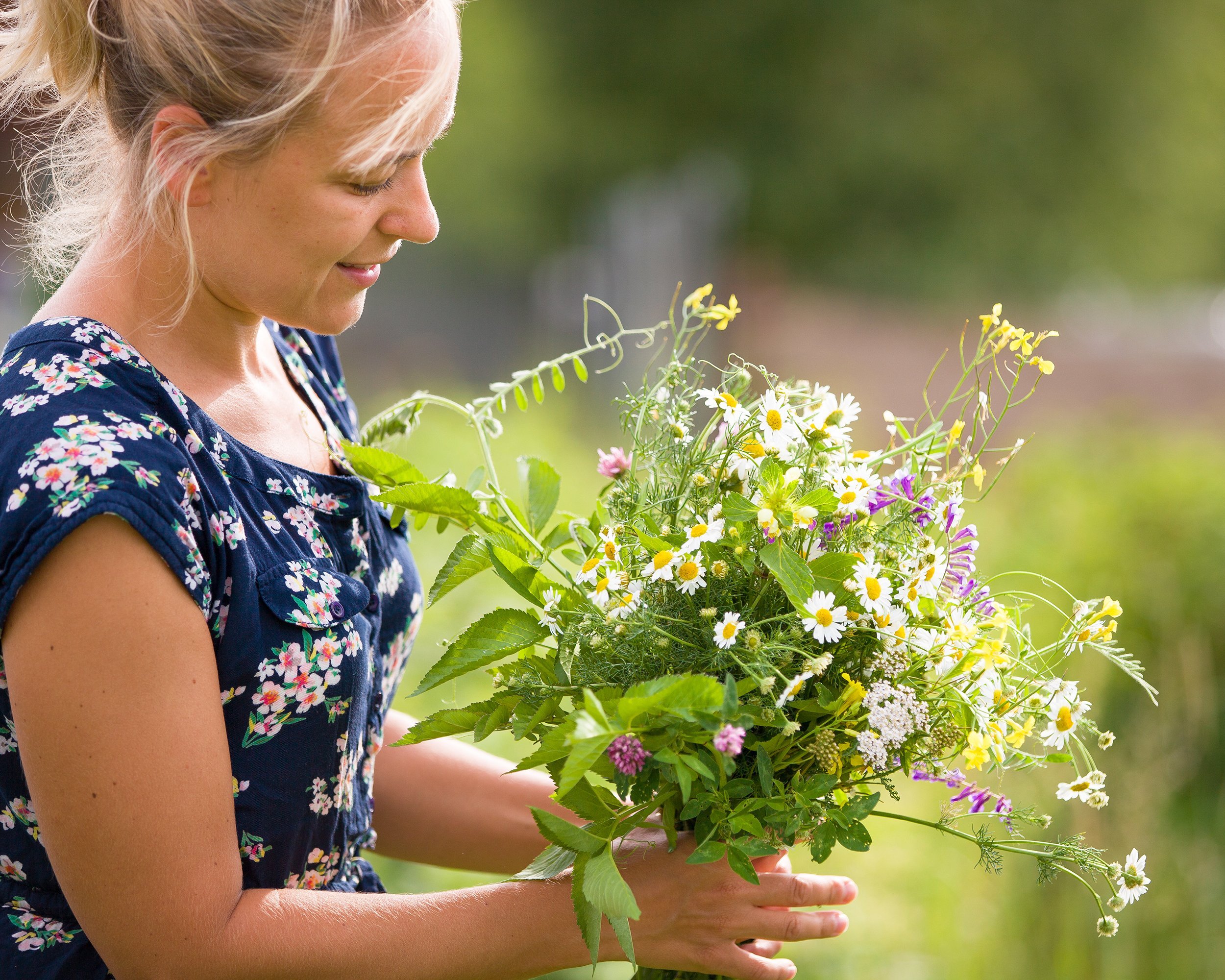smiling woman picking wild flowers in the field and making a bunch