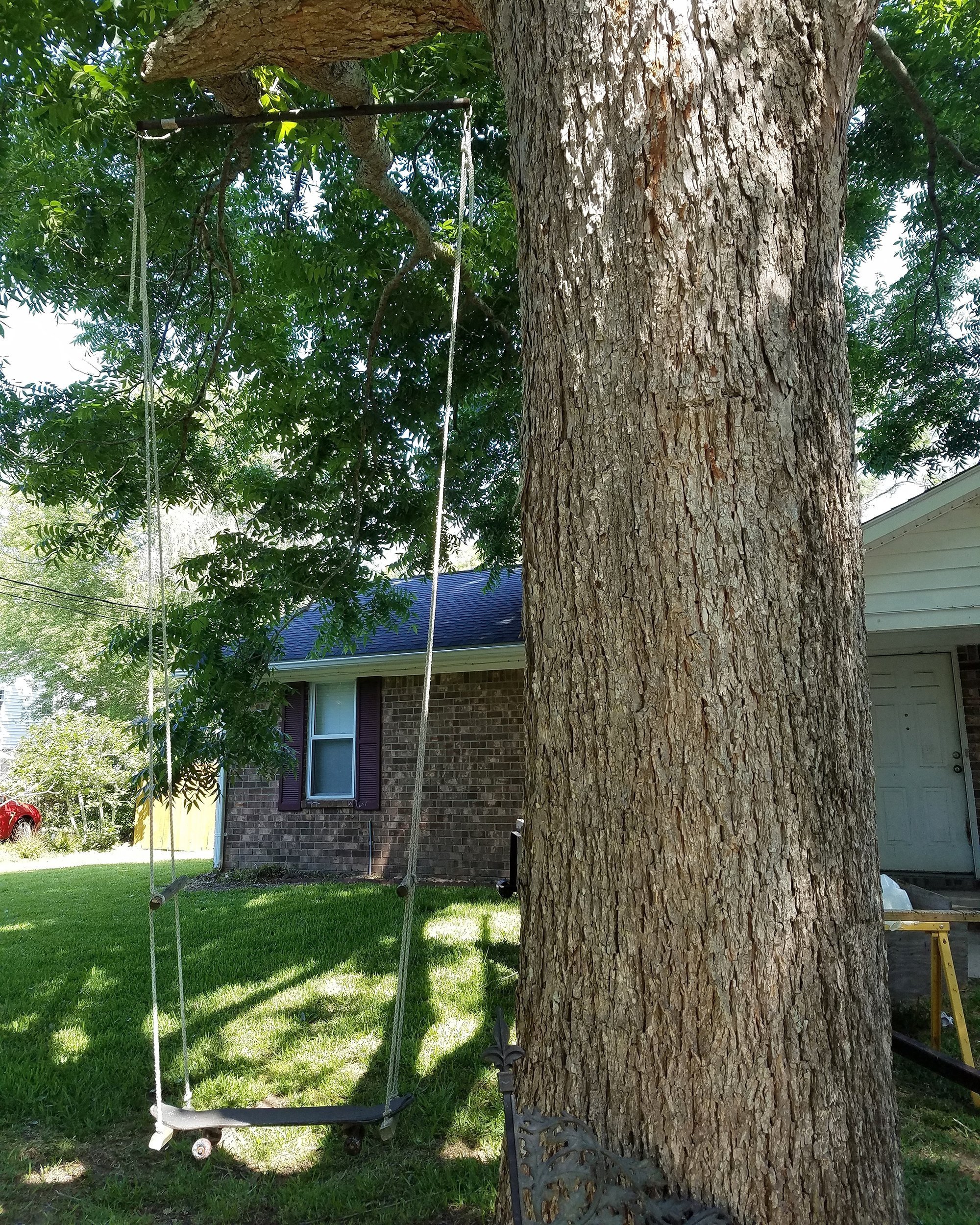 skateboard swing in tree