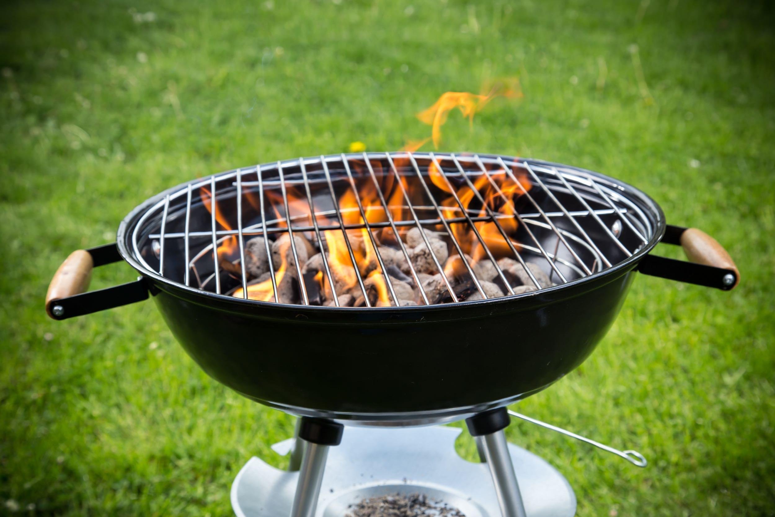 BBQ grill on garden