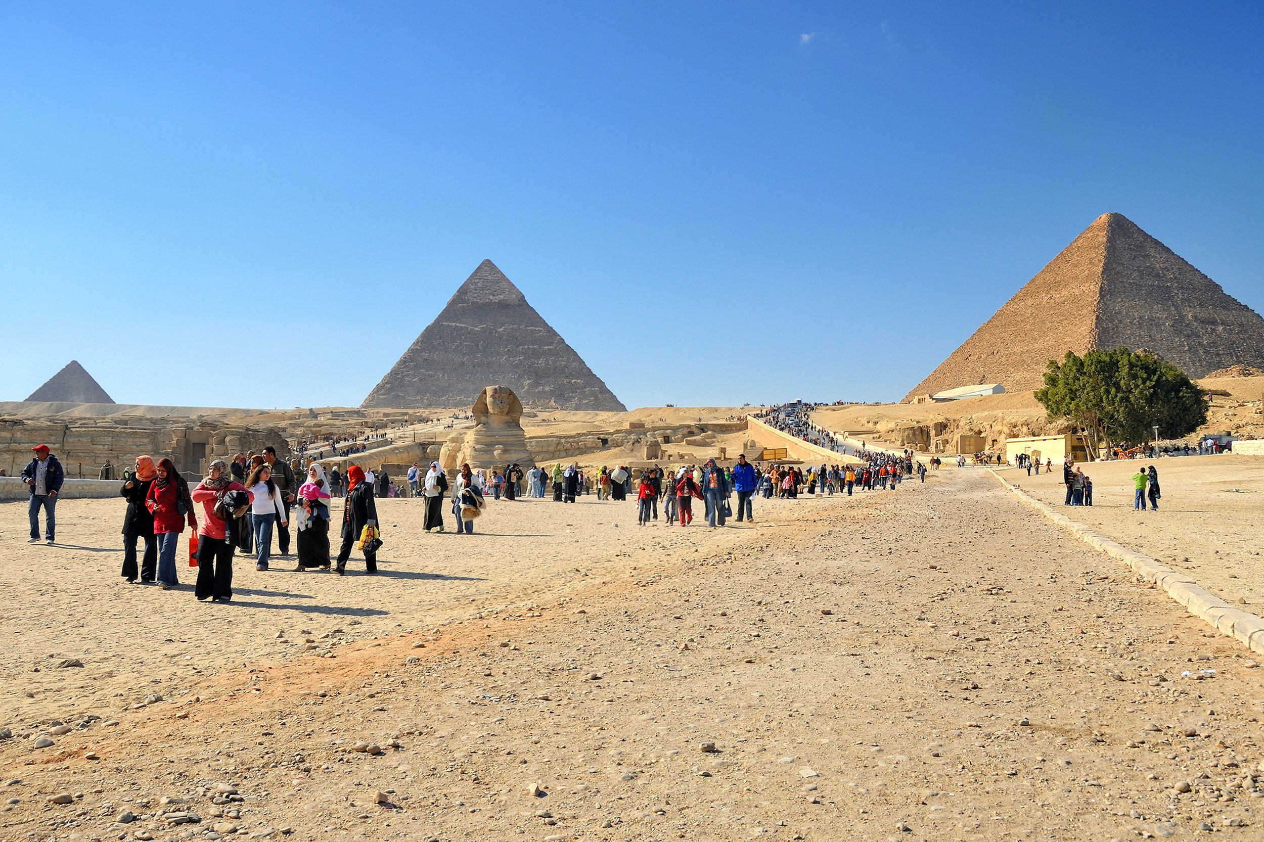 people seeing the pyramids in Giza, Egypt