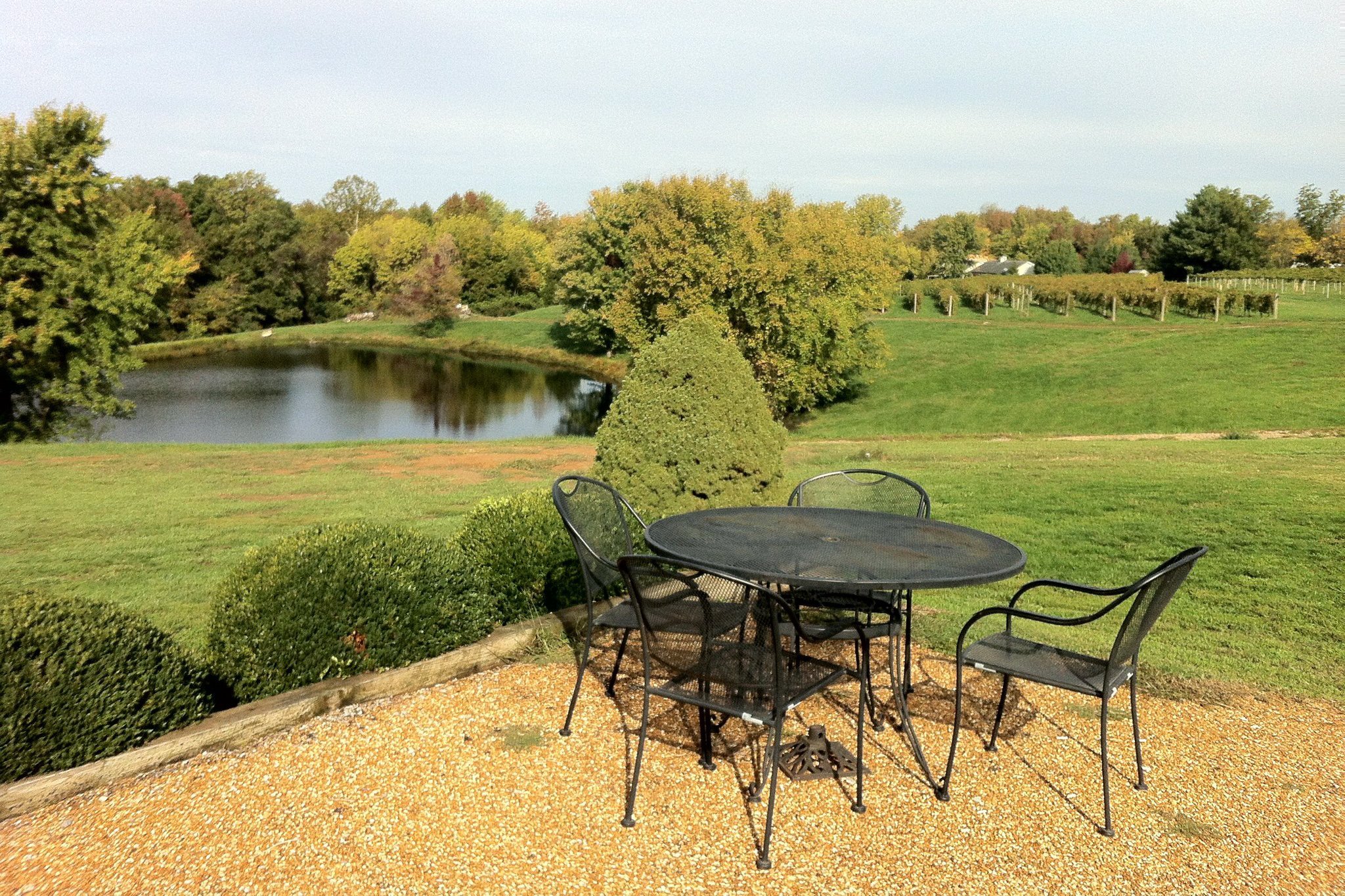 Alto Vineyards in Alto Pass, Illinois