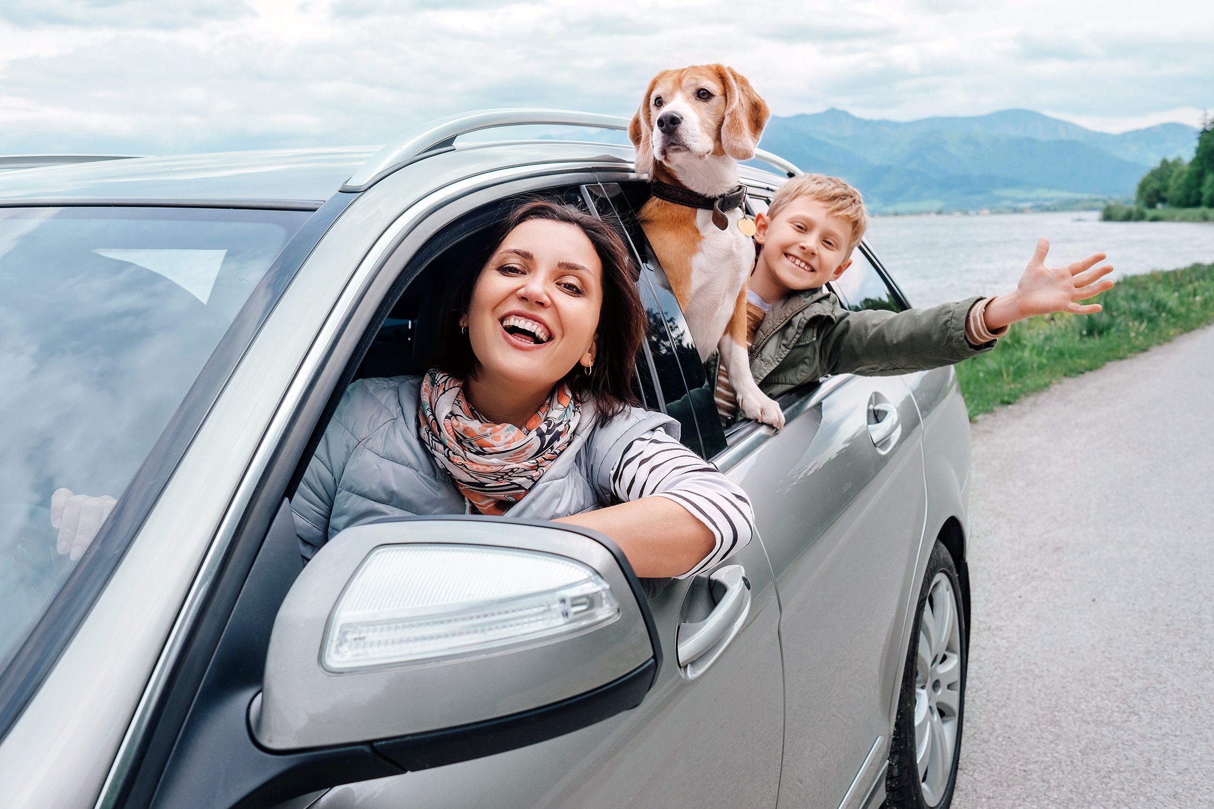 happy family look out from car windows