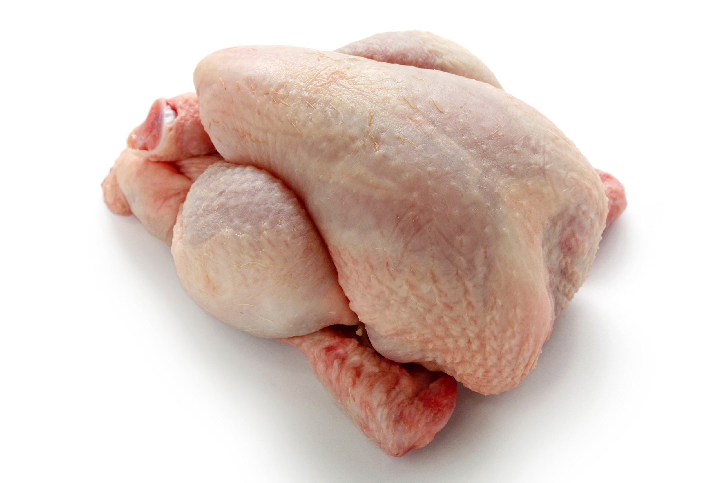 Raw fresh, young whole chicken