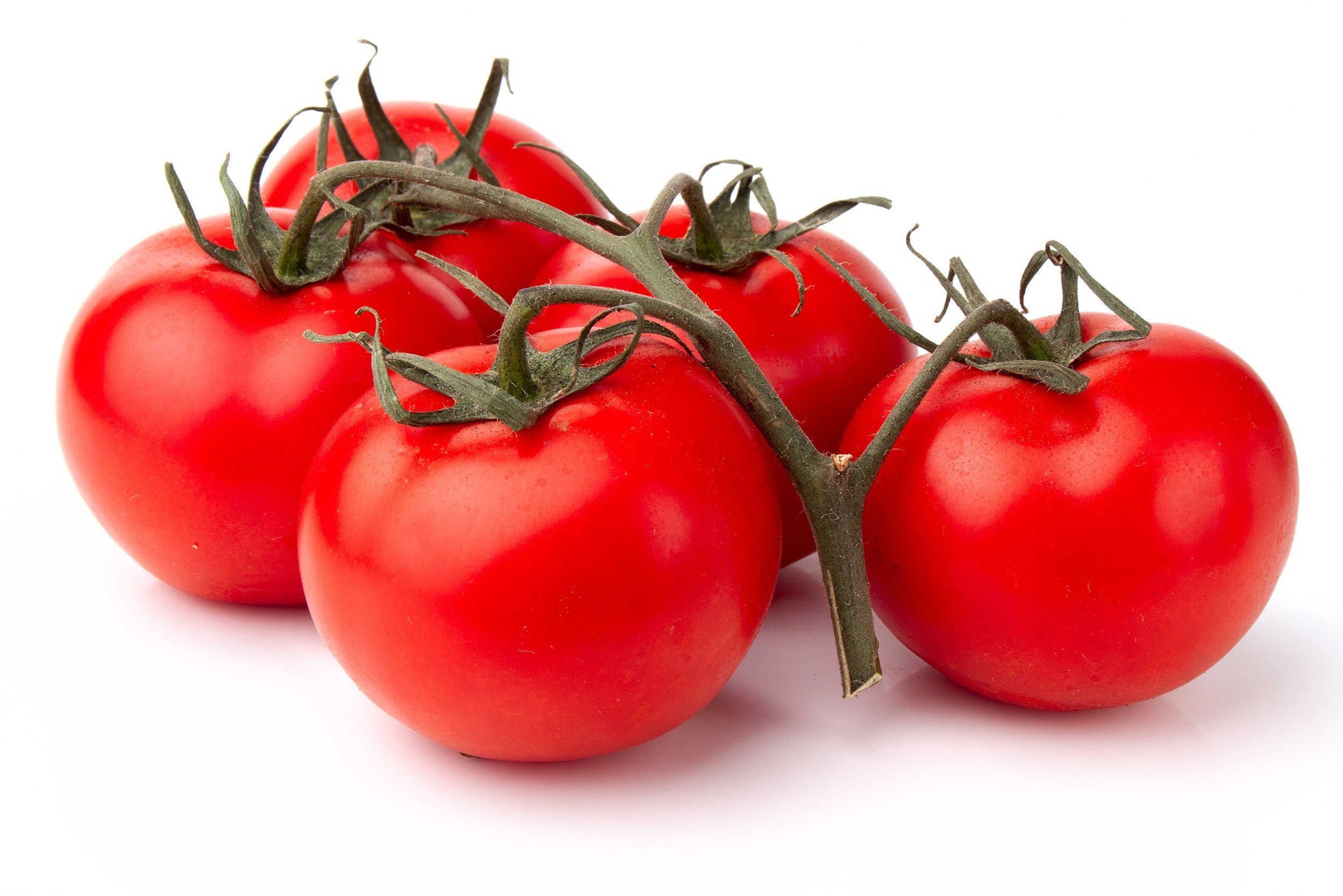 Tomatoes on the vine