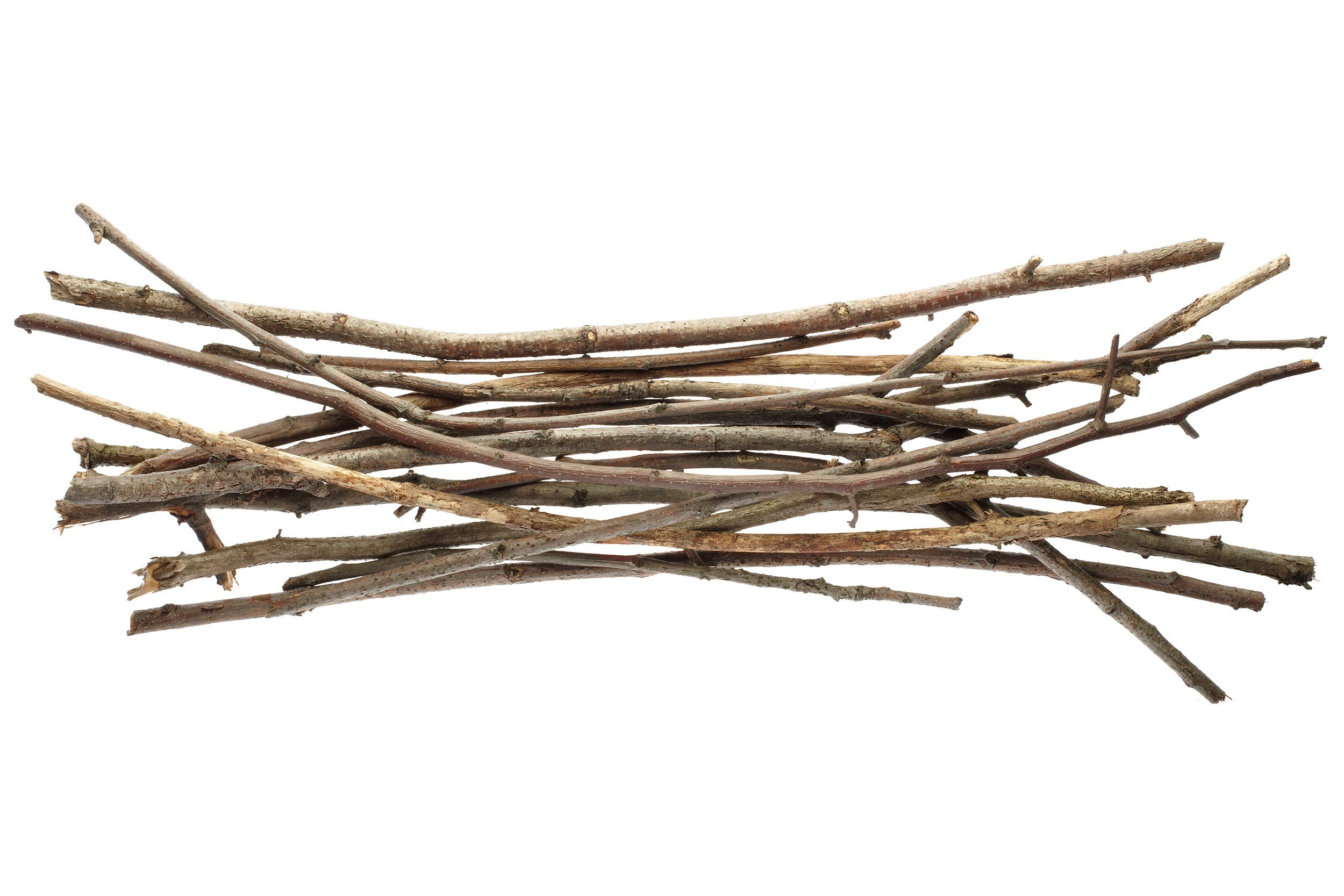 bundle of twigs