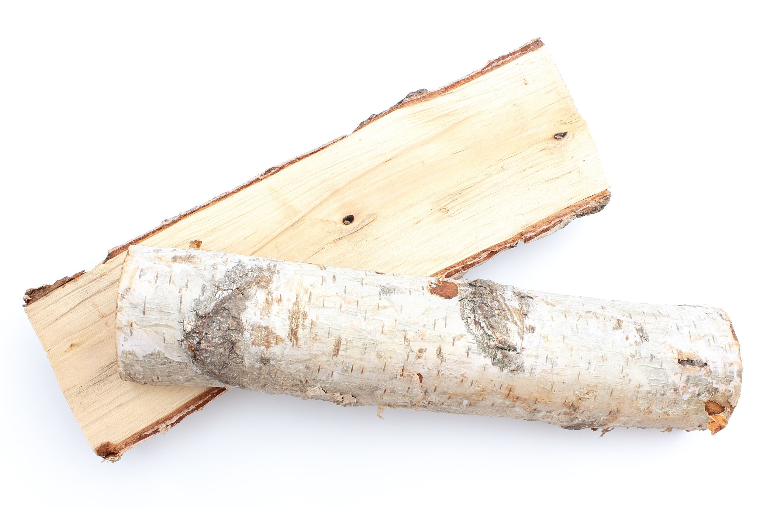 two cut logs firewood from silver birch tree