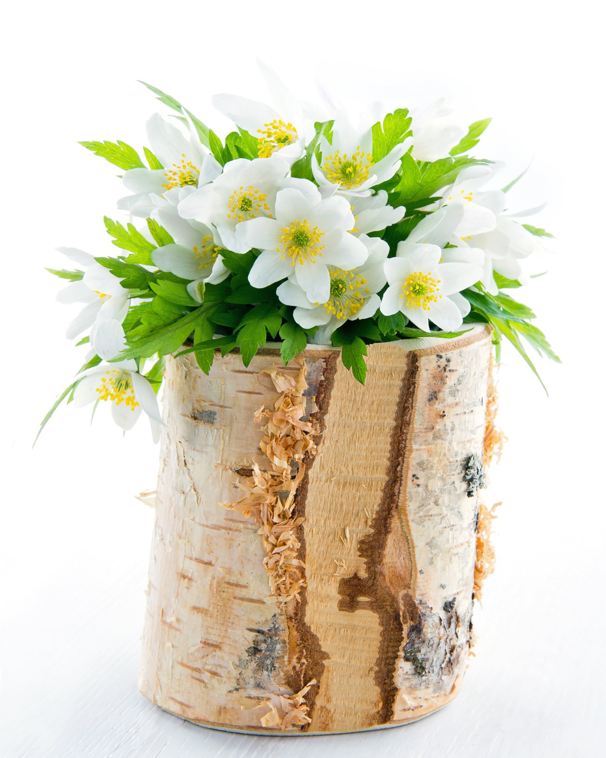 white flowers in birch tree vase