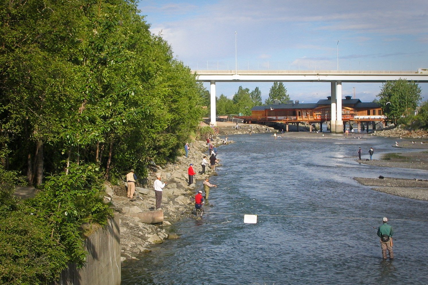 Salmon Viewing on Ship Creek in Anchorage, AK