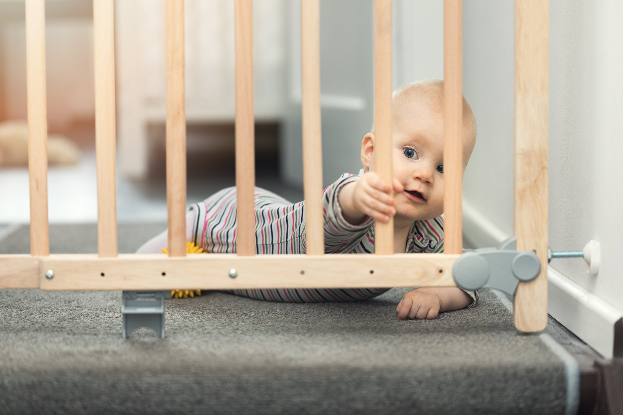 Baby behind safety gates in front of stairs