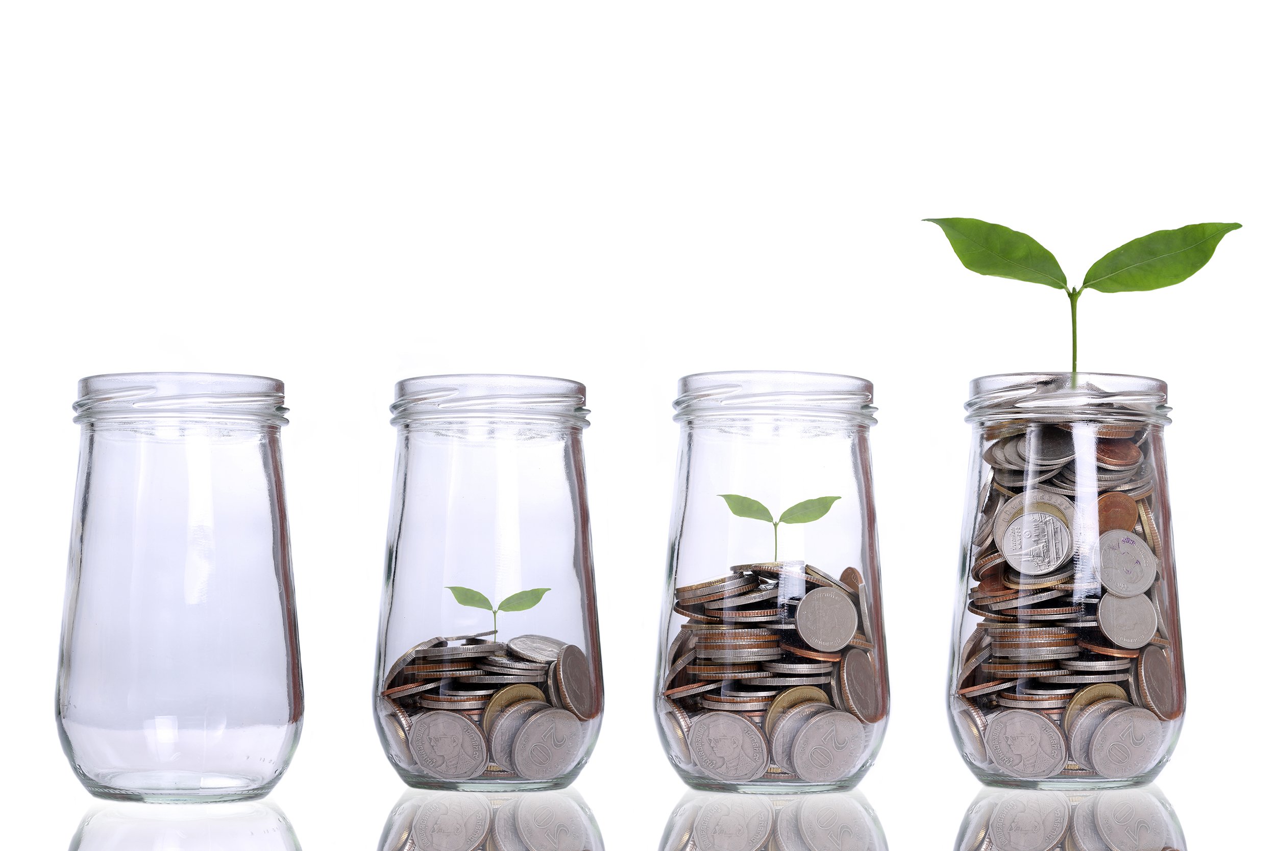 Money growing concept with coins in a vase with a growing plant
