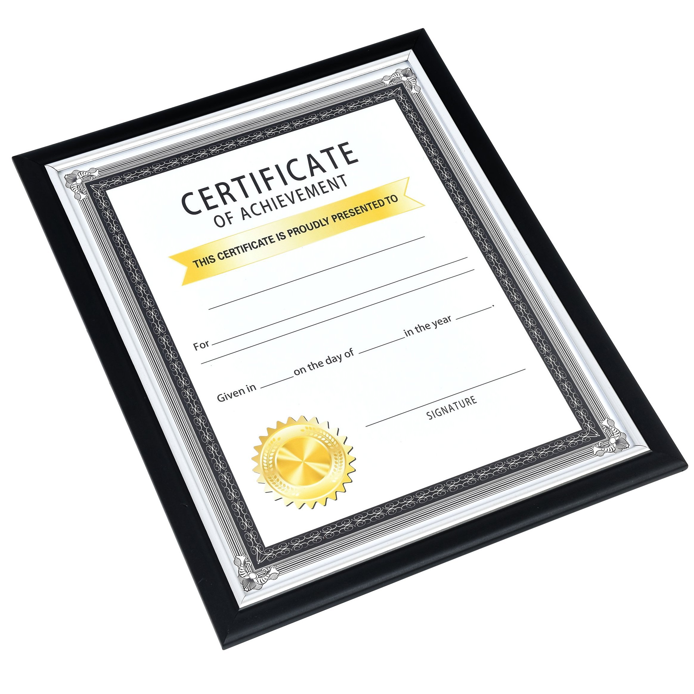 Black Plastic Document Frames with Silver Accents