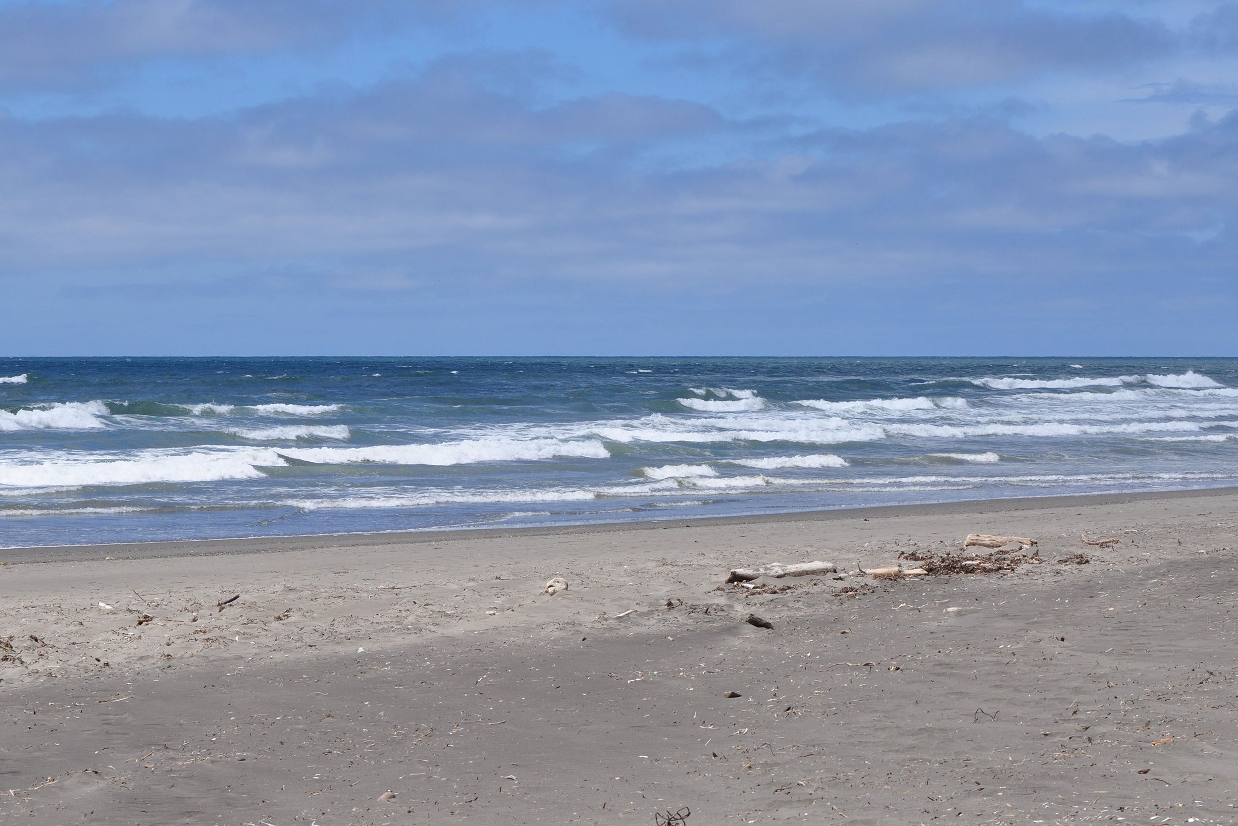 Ocean City, WA