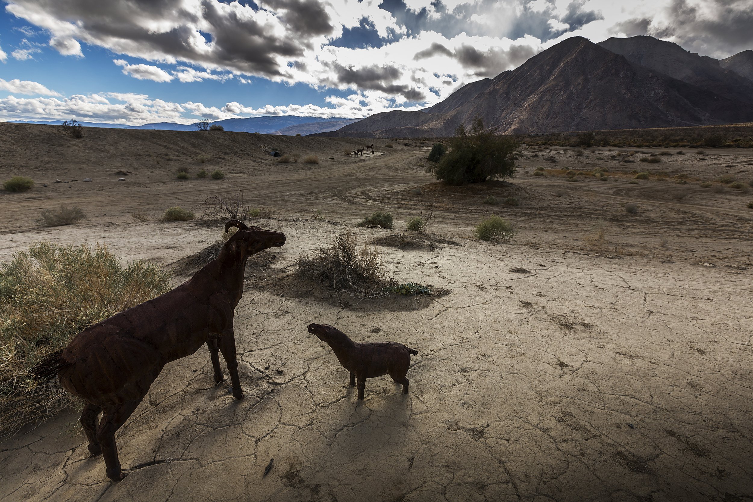 Borrego Springs, CA
