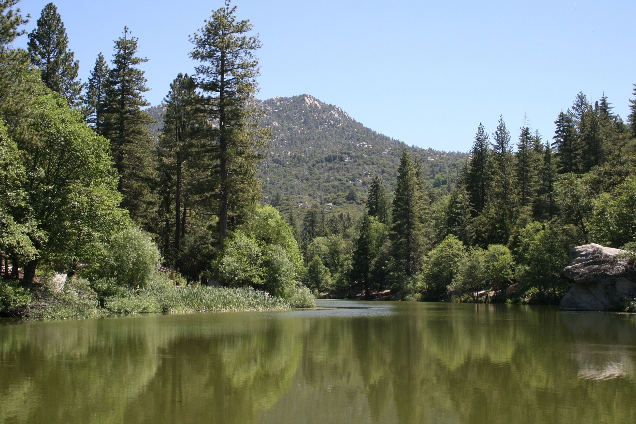 Idyllwild, CA
