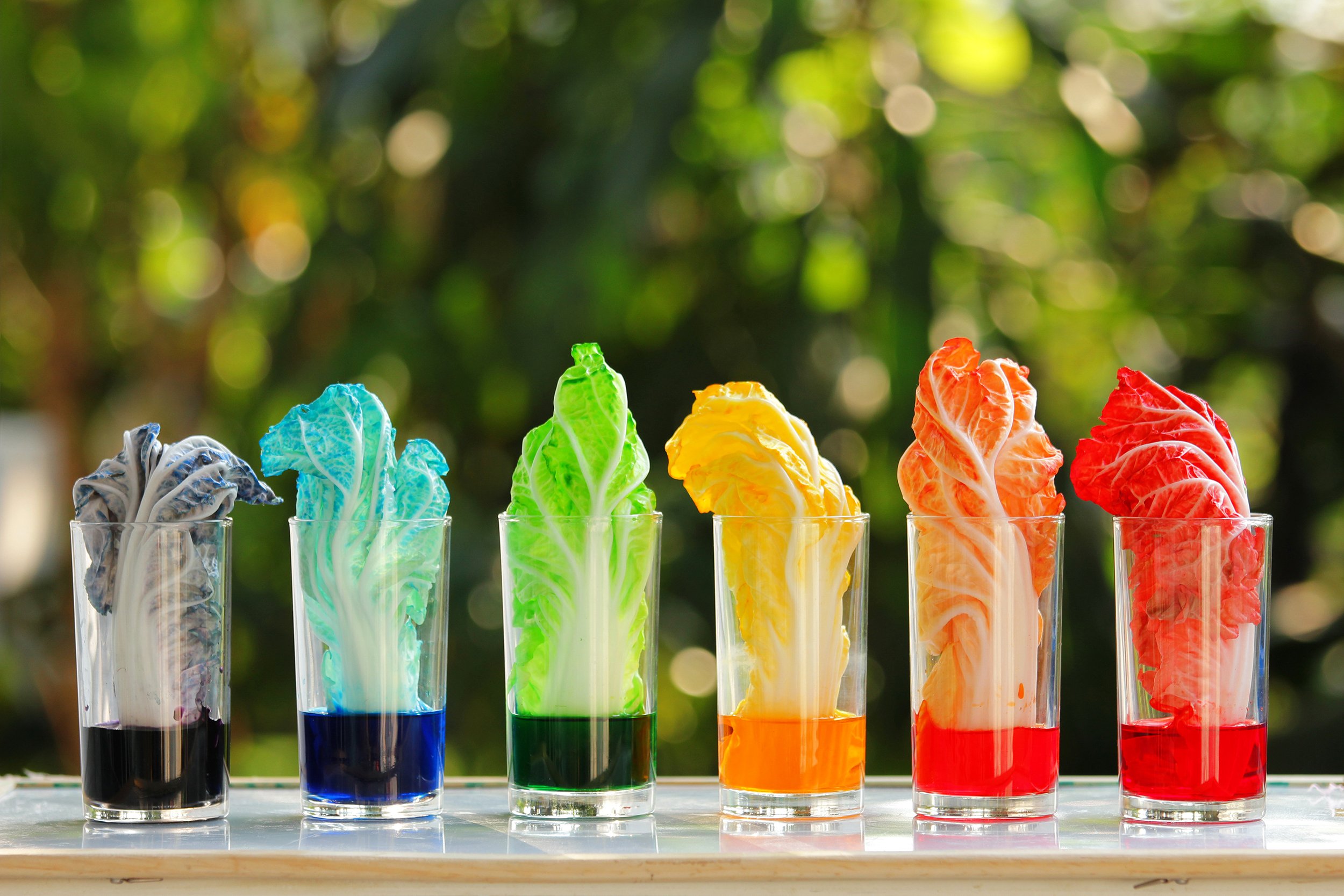 lettuce dyed in rainbow colors with food dyes