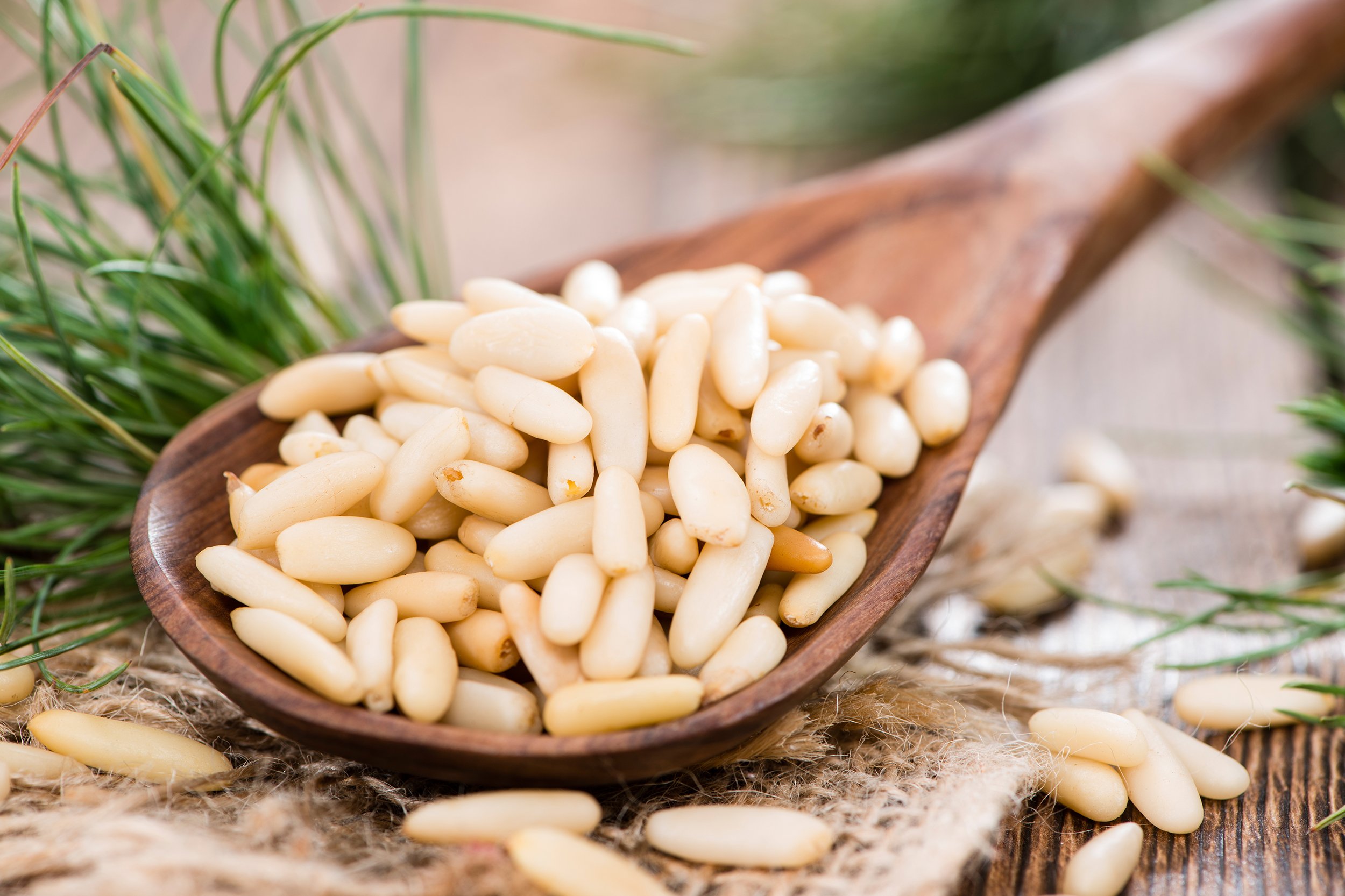 pine nuts in spoon on wooden table