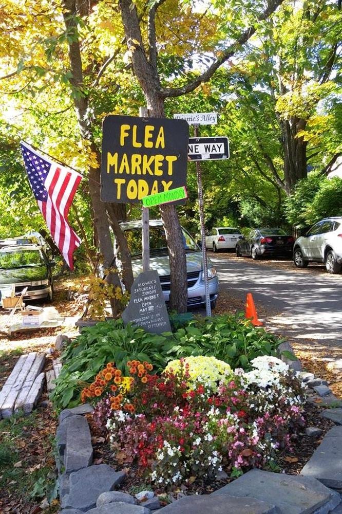 TREASURE HUNTING IN WOODSTOCK