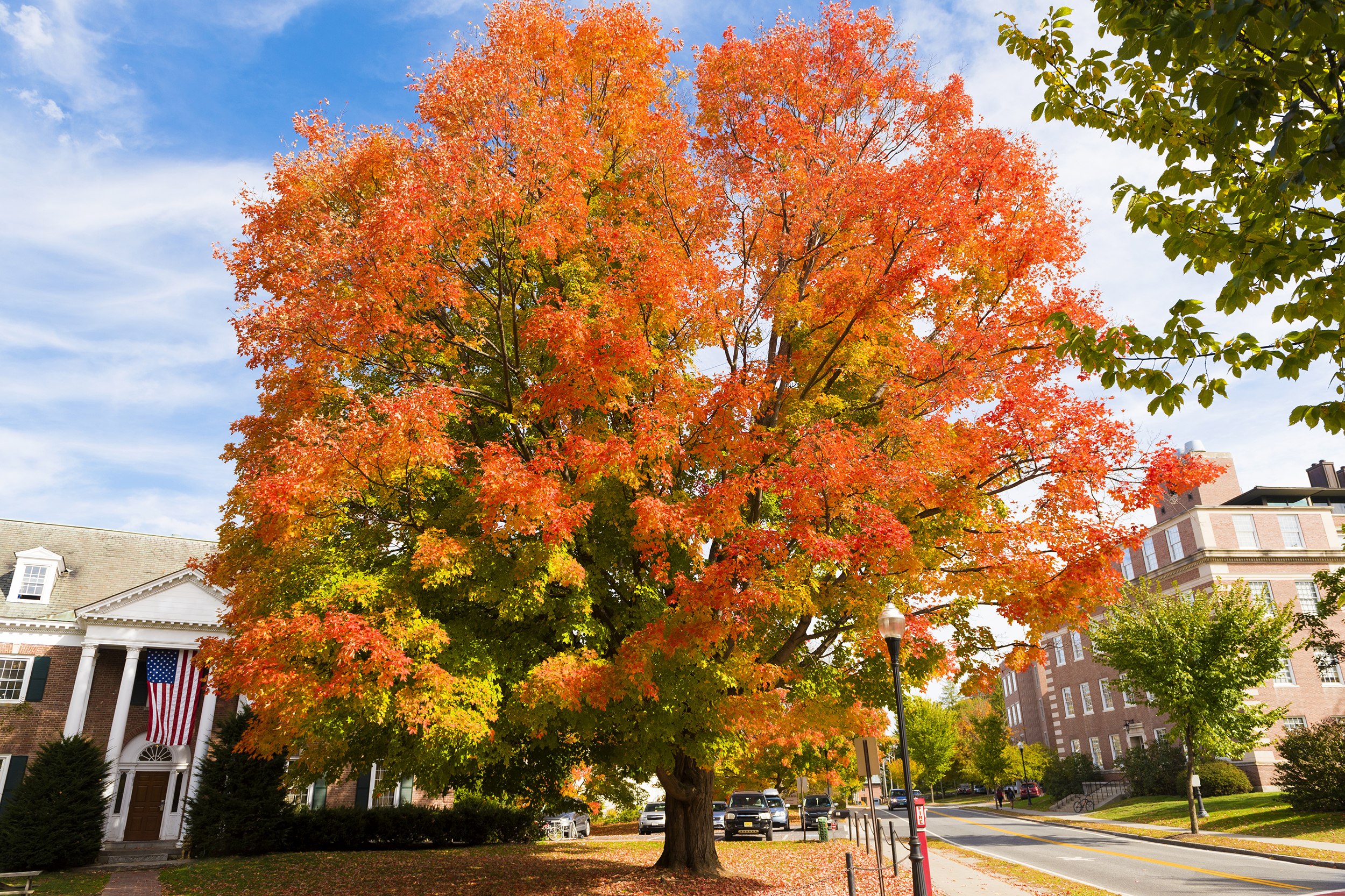 Hanover, NH