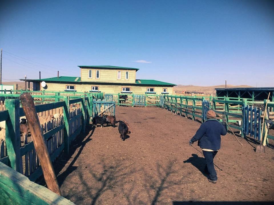 Anak Ranch, Sukhbaatar, Mongolia