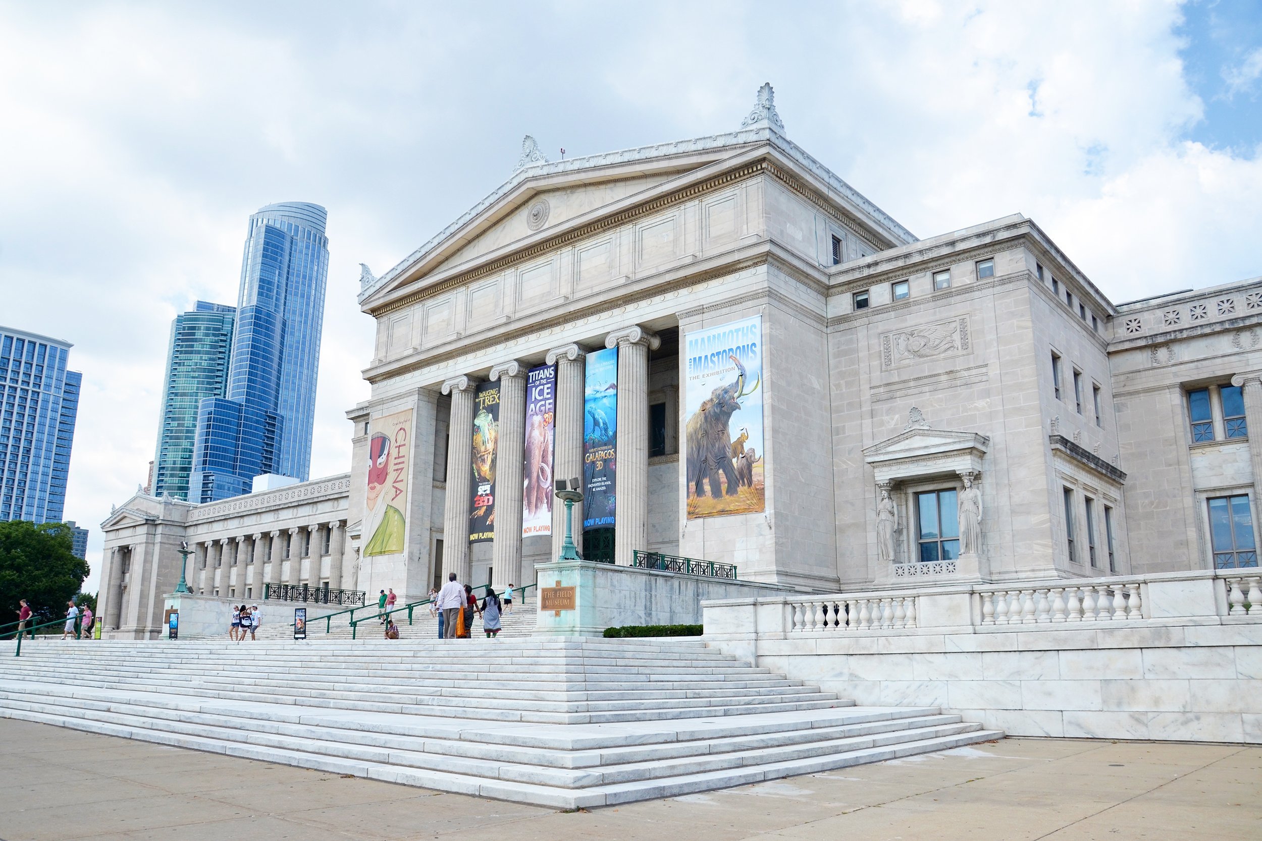 Field Museum in Chicago, Illinois