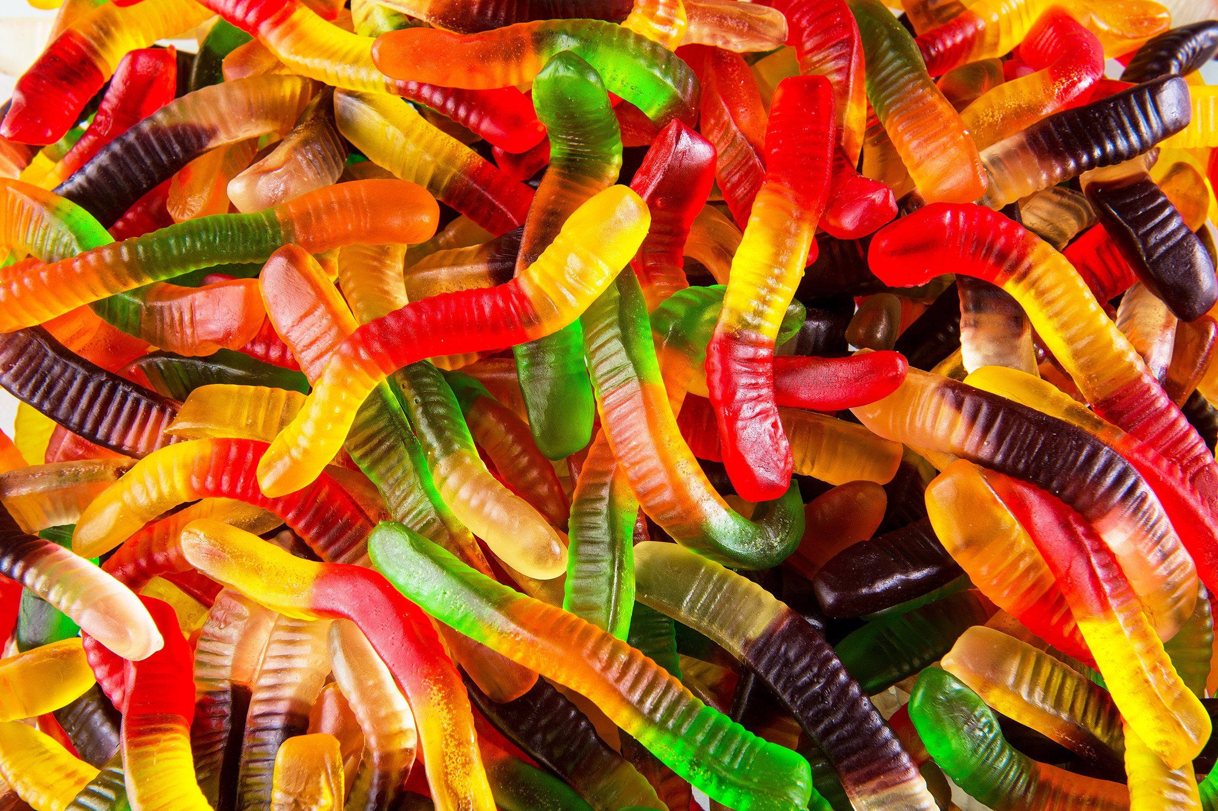 Can of Worms