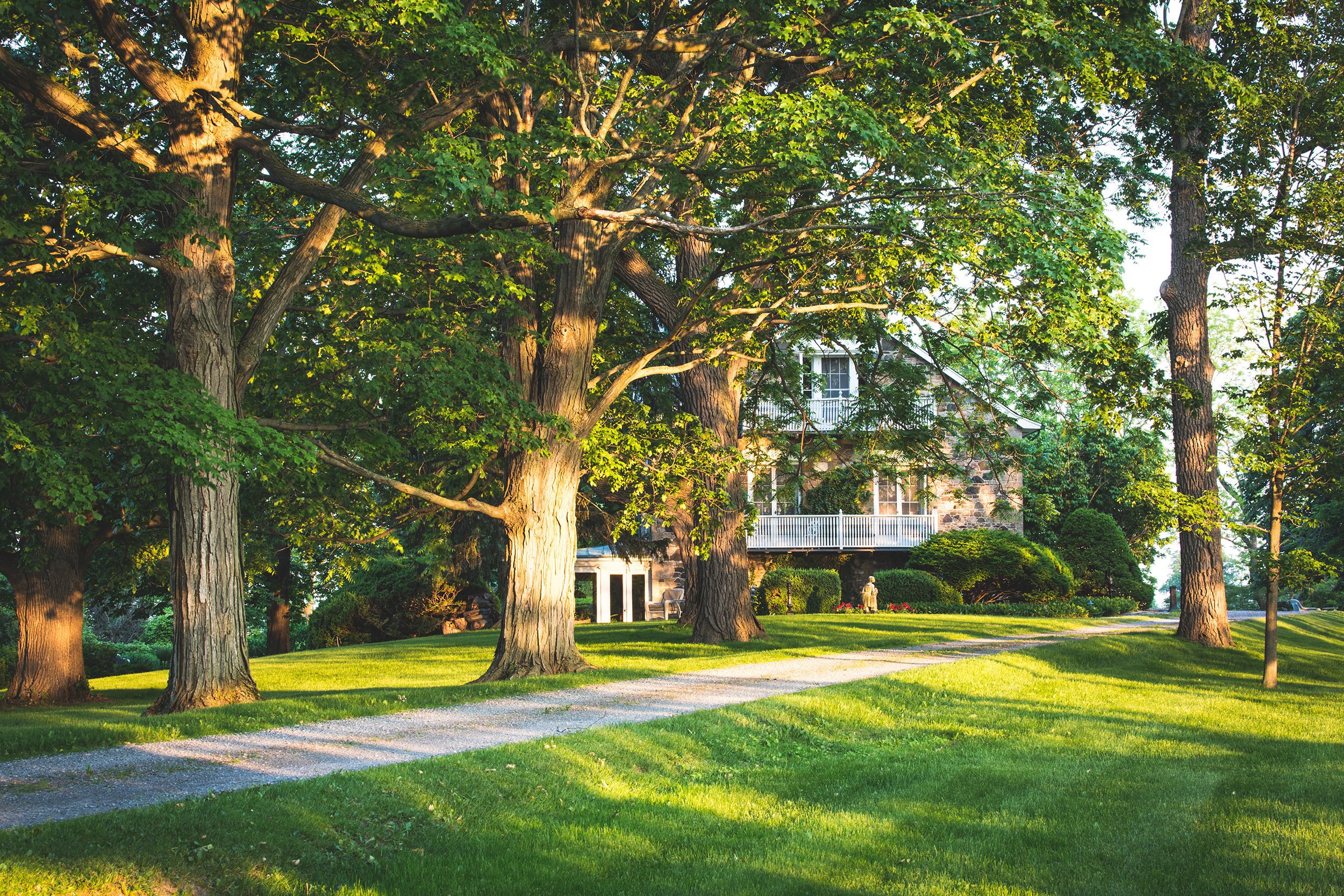 Cottage in the country behind lots of trees