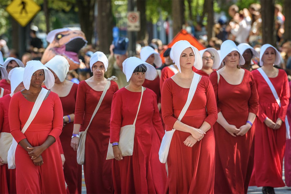 Handmaid Costume