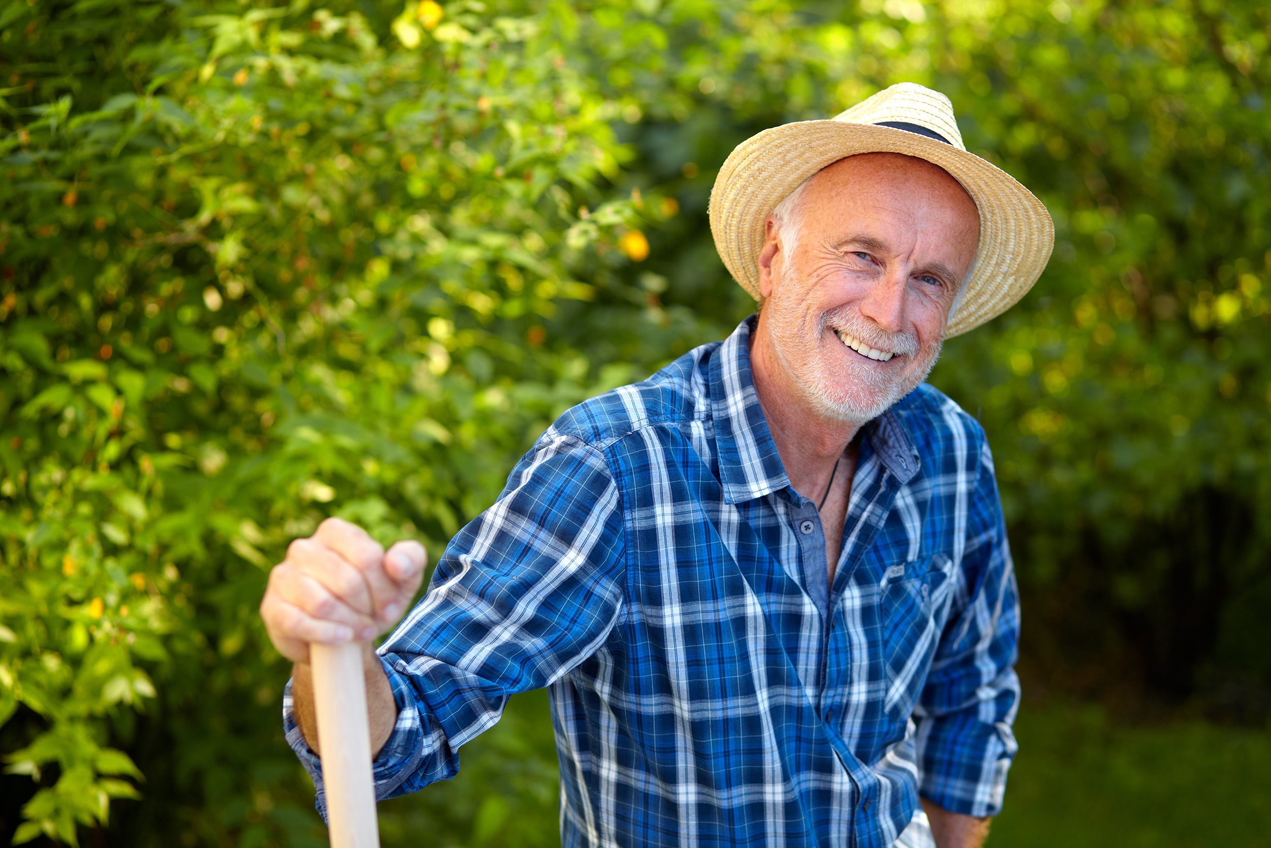 Senior man in the garden looking happy