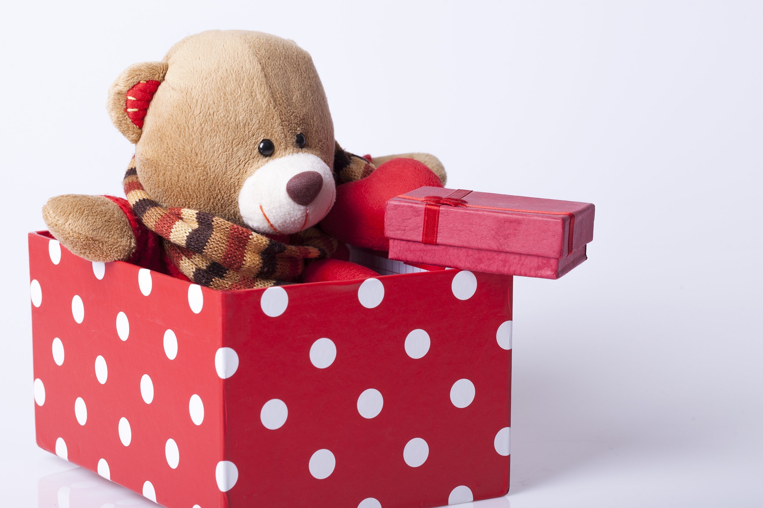 Bear stuffed animal in a red and white polka dot gift box