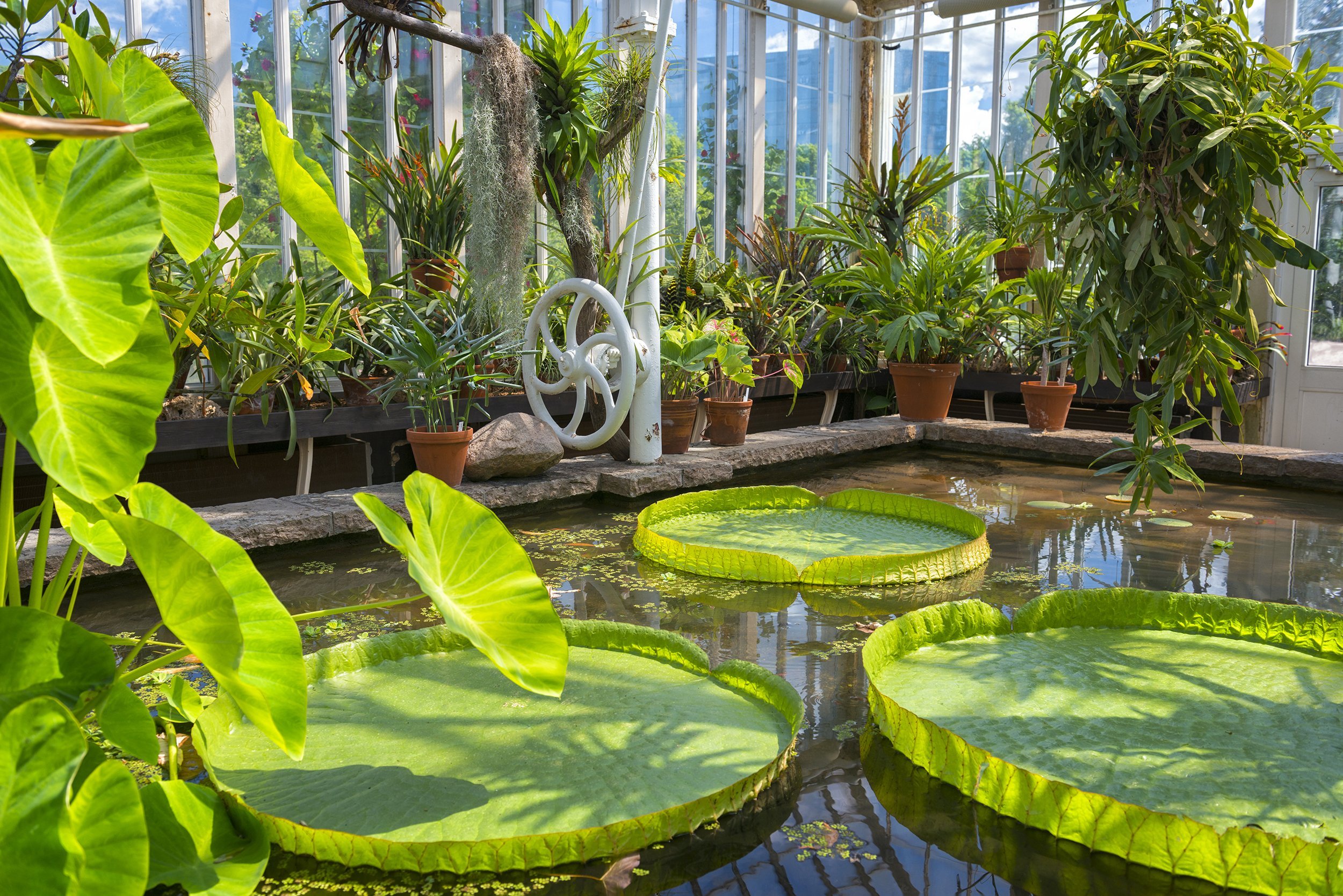 giant indoor garden