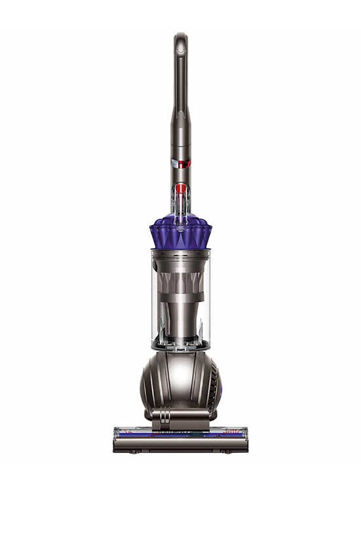 Dyson Ball Animal+ Vacuum